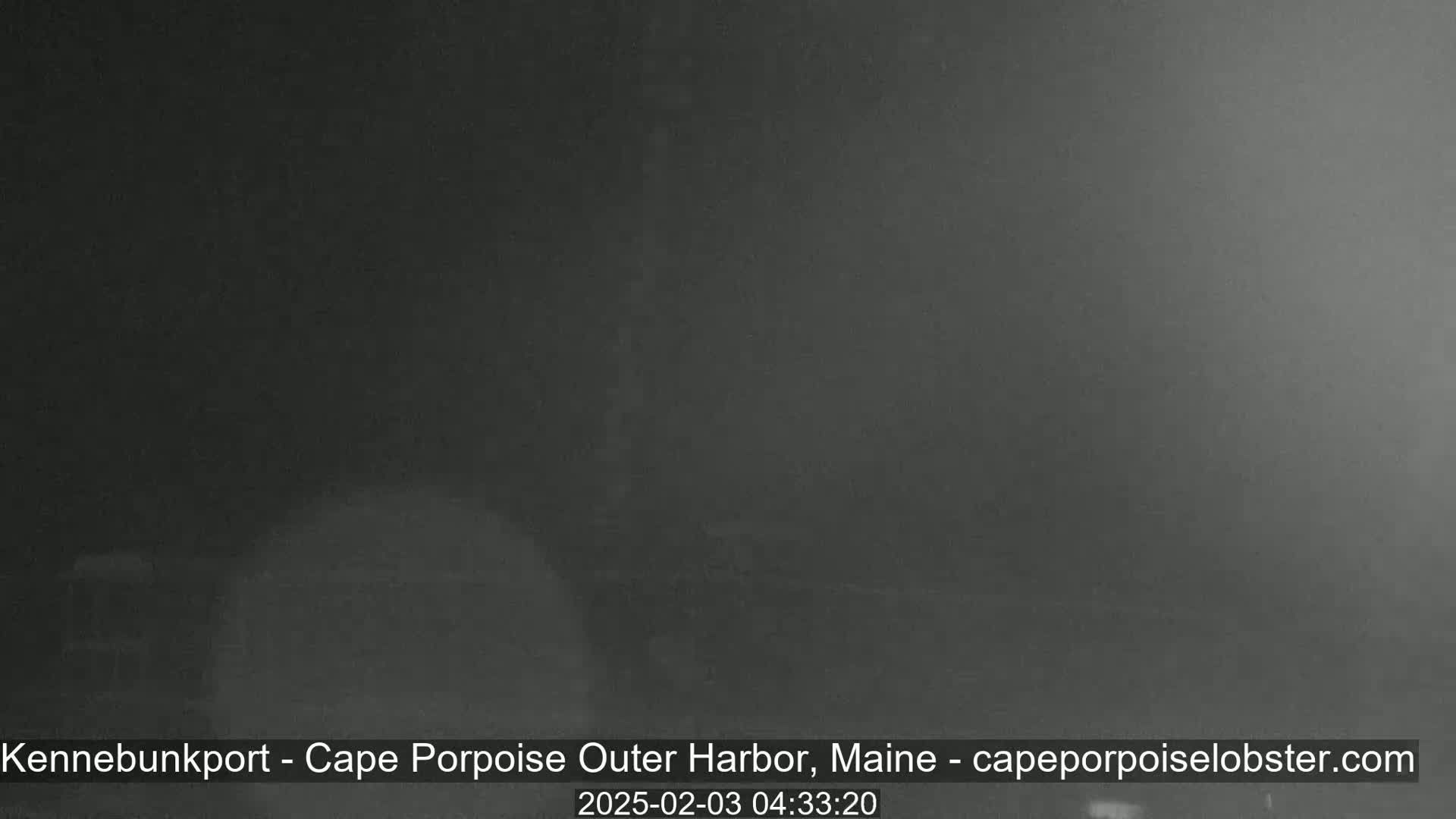 A dark, foggy scene is visible, obscuring most details.