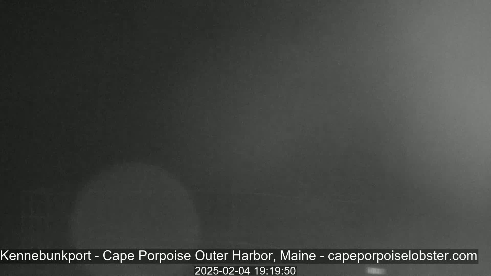 A dark, blurry image shows a nighttime scene in foggy or hazy conditions.