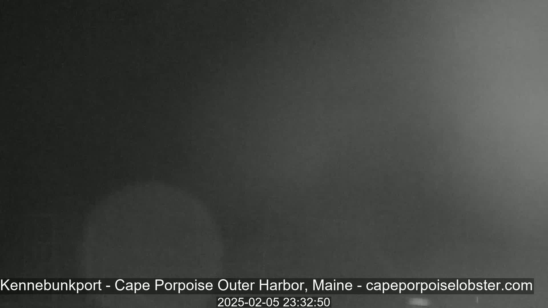 A dark, foggy nighttime scene is visible.