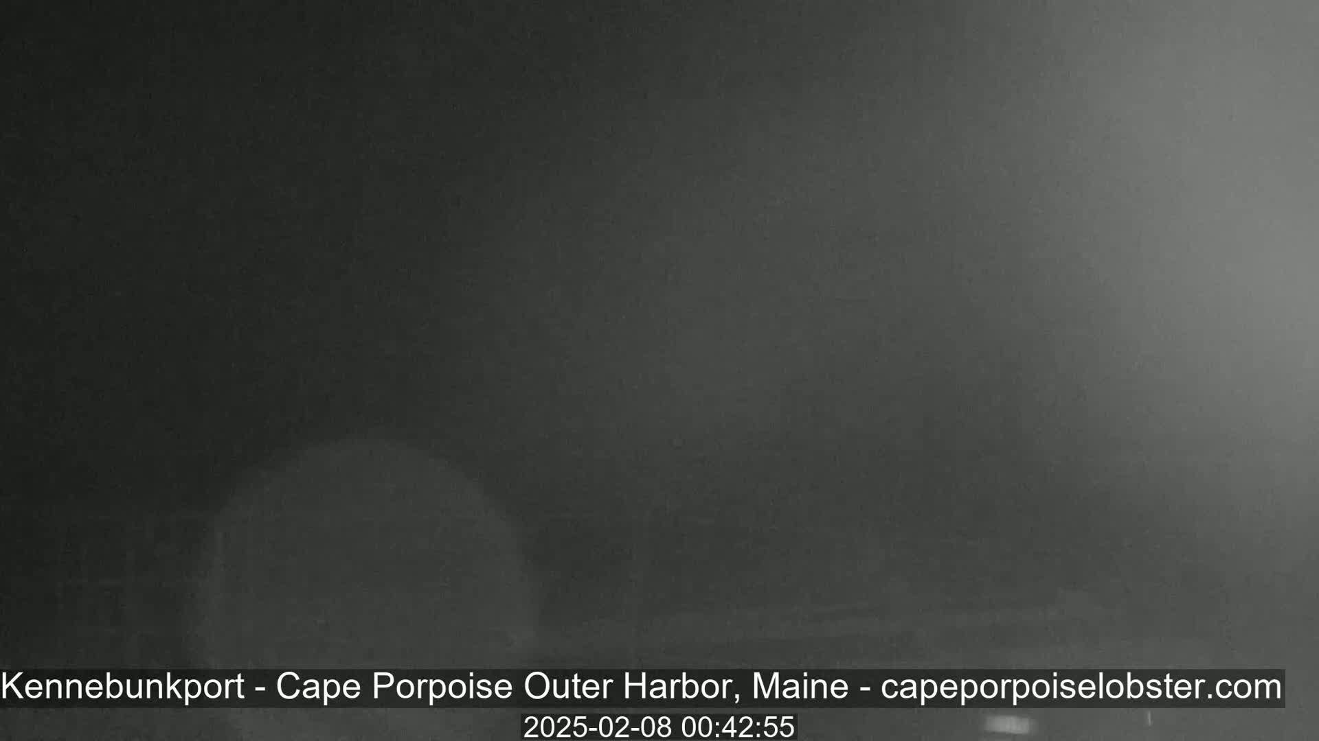 A dark, nighttime image shows a blurry, indistinct scene obscured by fog or mist.