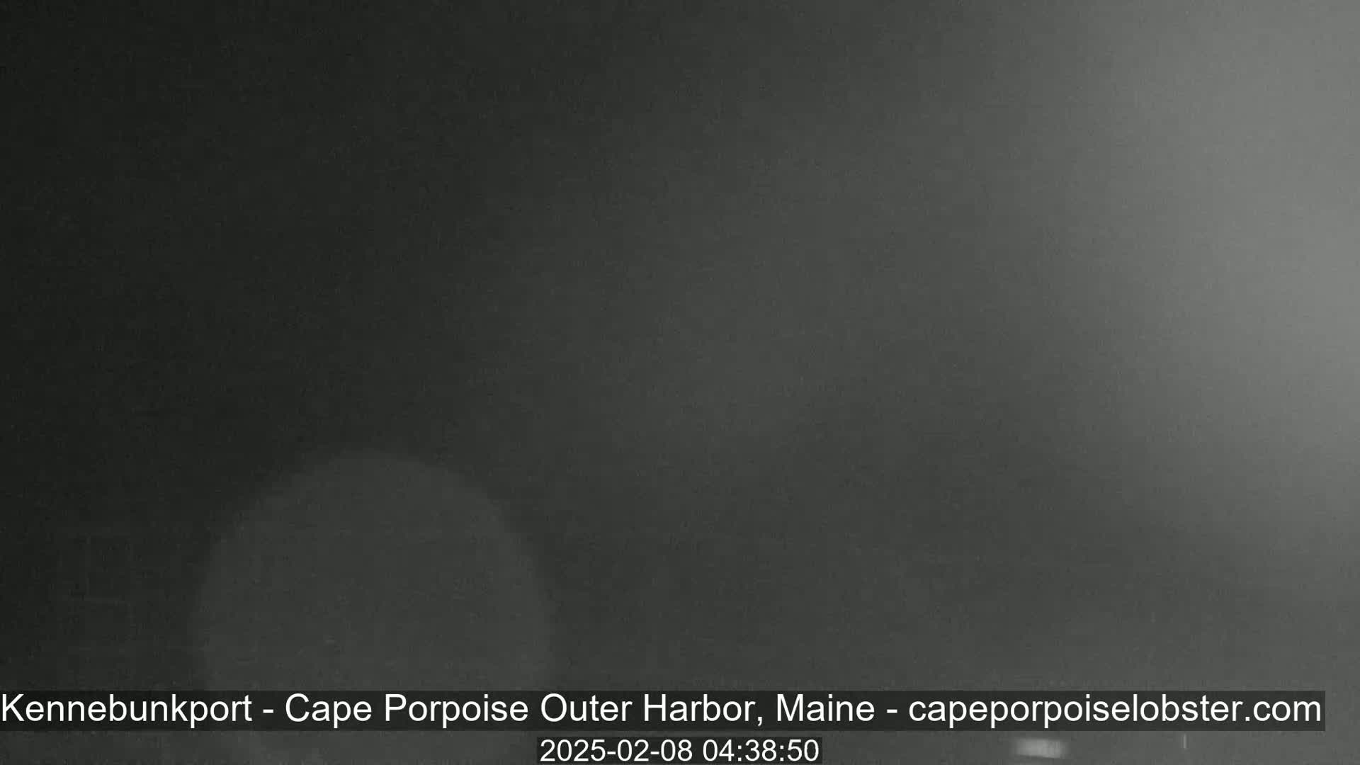A dark, foggy scene is visible.