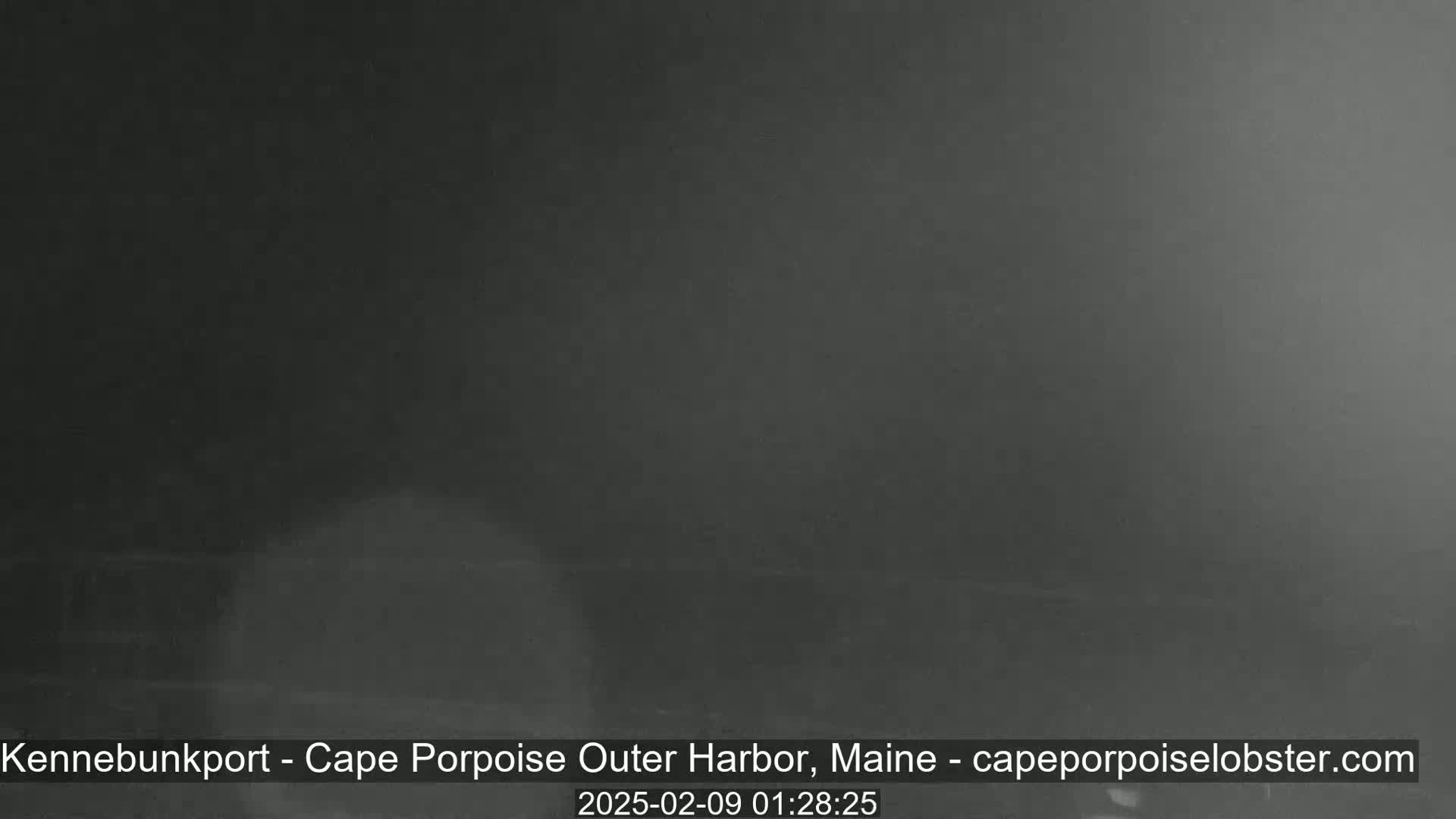 A dark, blurry image shows an overcast night scene.