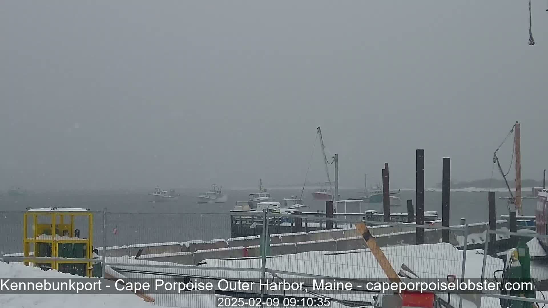 Several boats are in a harbor during a snowy day.