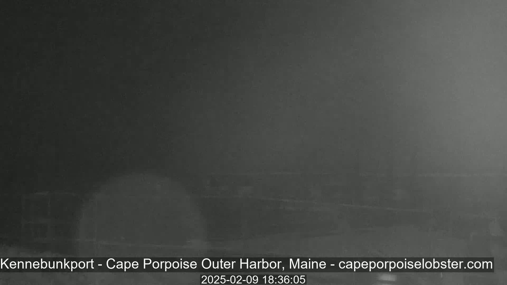 A dark, foggy nighttime scene shows a blurry, indistinct waterfront area.