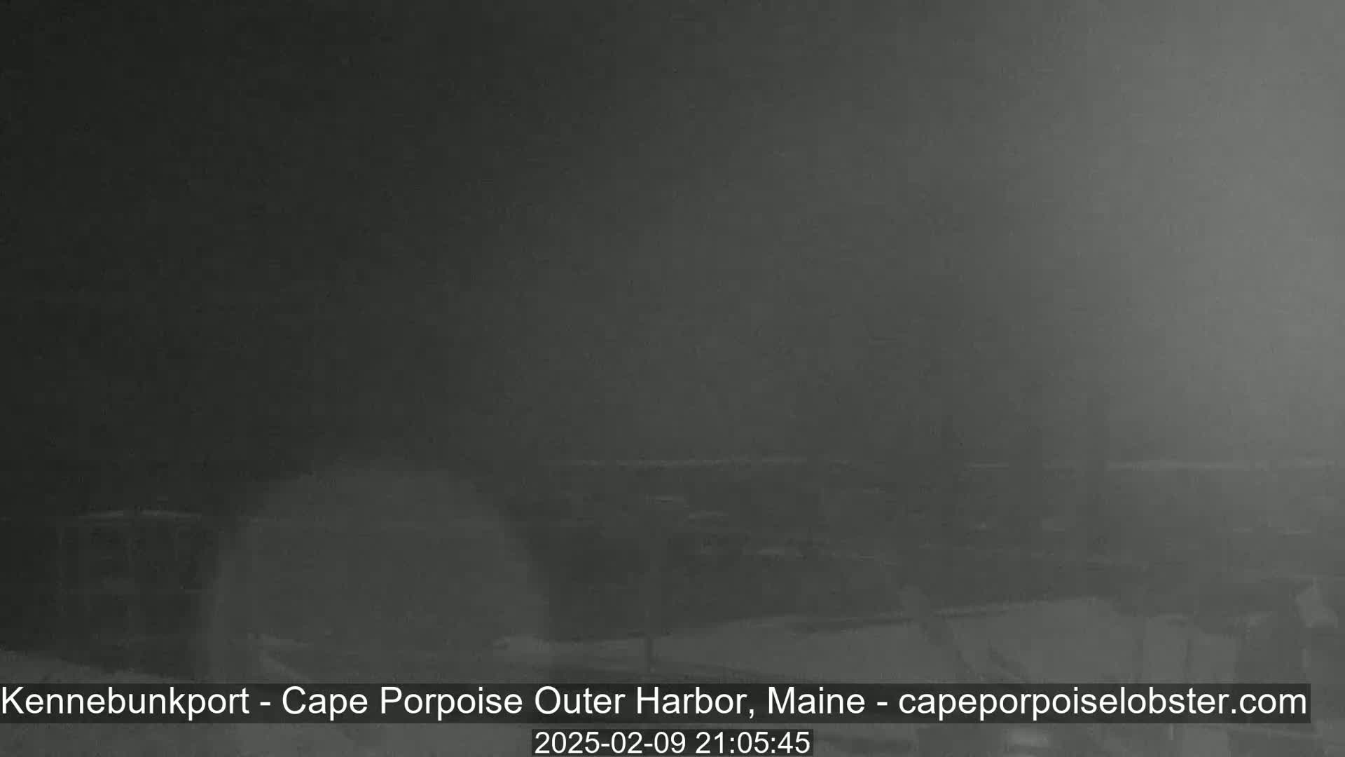 A dark, blurry image shows an outdoor scene obscured by heavy fog or mist at night.