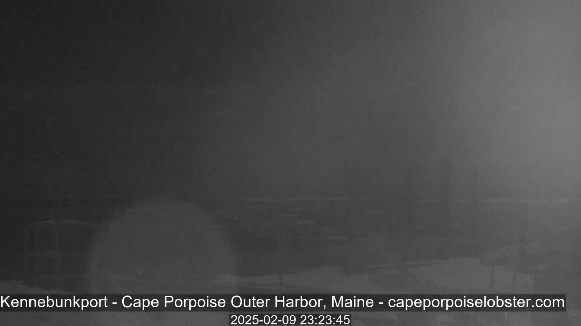 A dark, blurry image shows a nighttime coastal scene obscured by fog or mist.