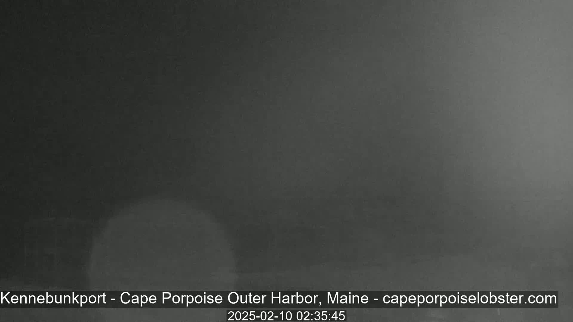 A dark, blurry image shows a mostly obscured nighttime scene with heavy fog or mist.
