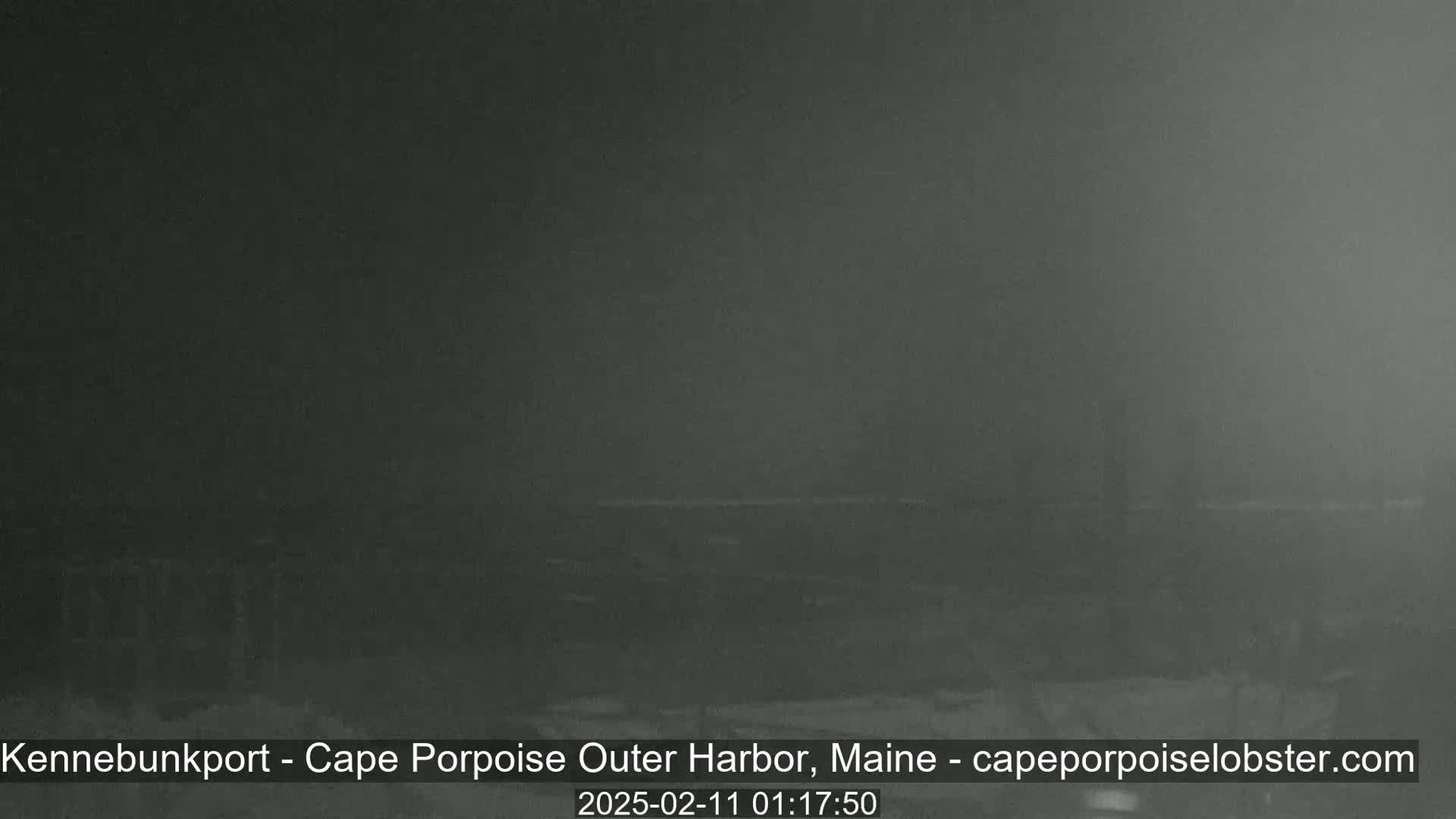 A dark, foggy nighttime scene shows a blurry, indistinct harbor.