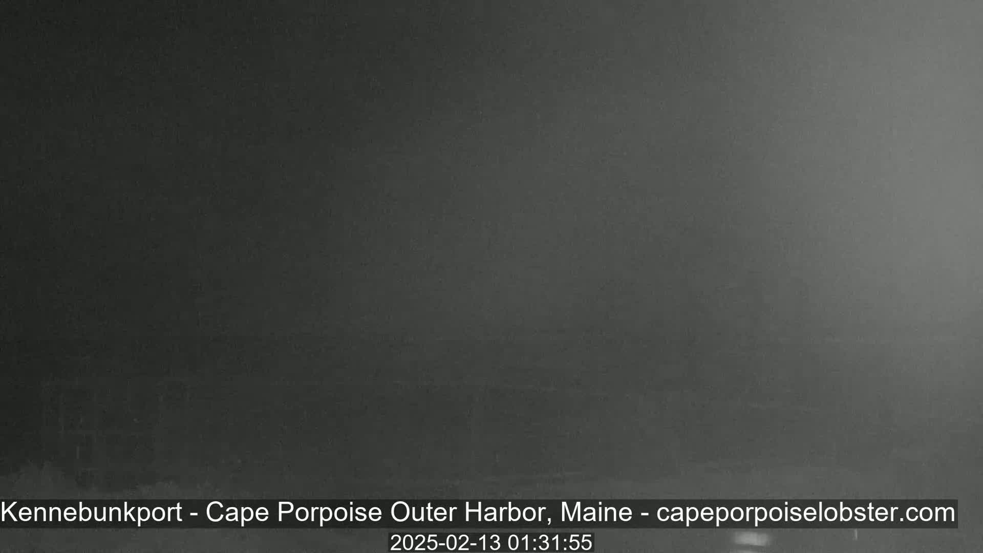 A dark, blurry image shows an overcast night scene.