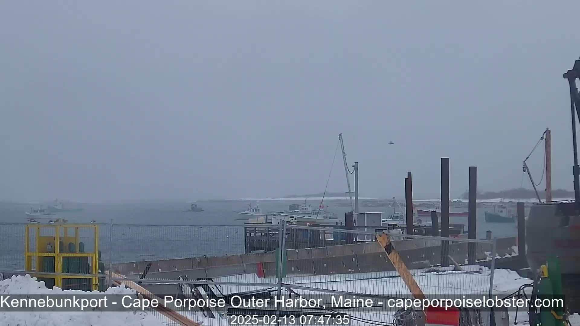 Several boats are visible in a harbor on a snowy, overcast day.