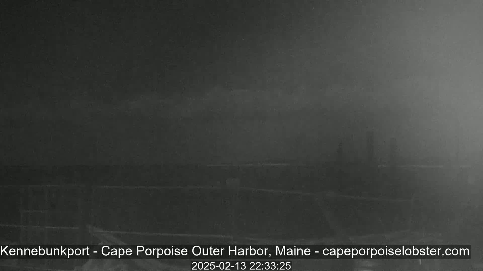 A dark, foggy scene shows a blurry, indistinct waterfront at night.