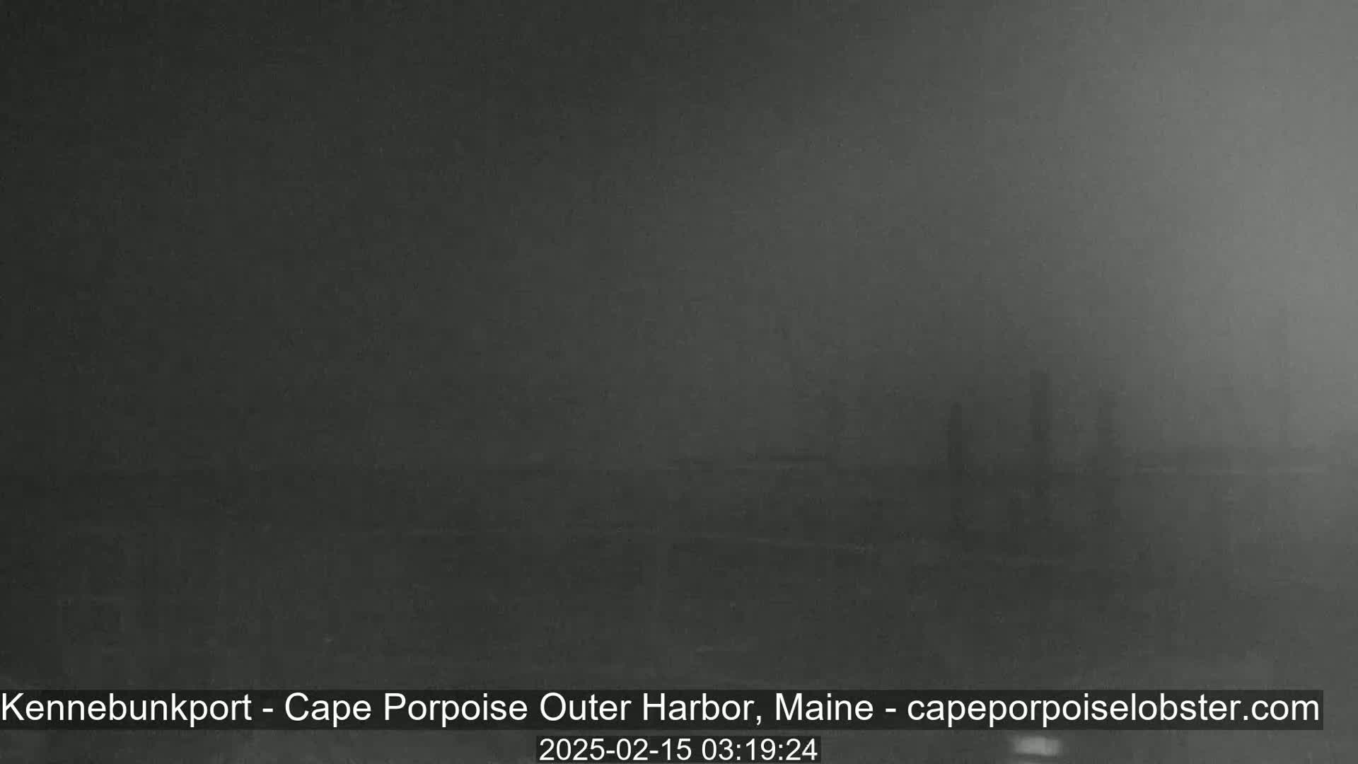 A dark, foggy scene shows indistinct shapes in the distance.