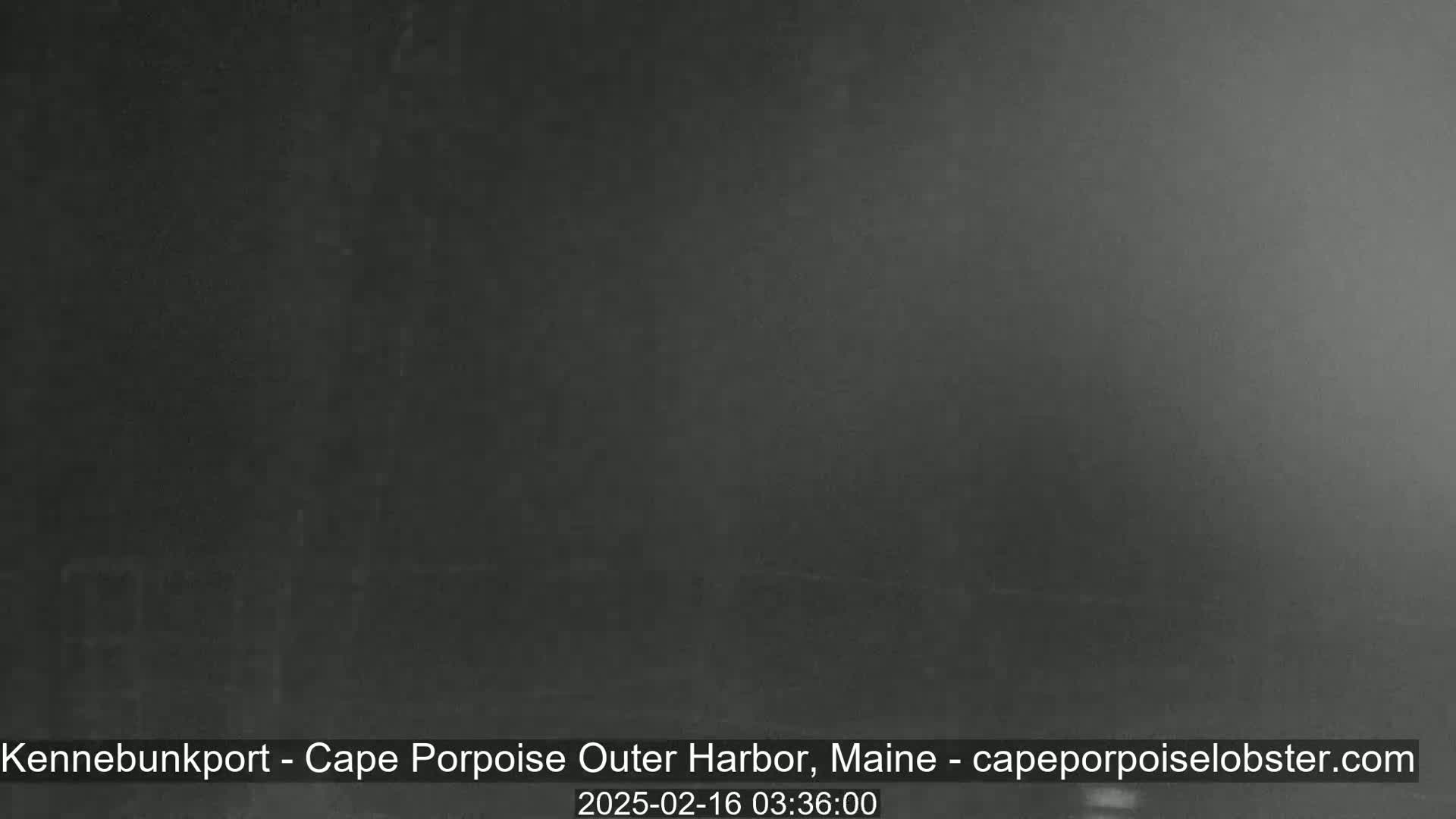 A dark, blurry image shows a mostly featureless gray scene in heavy fog or low light conditions.