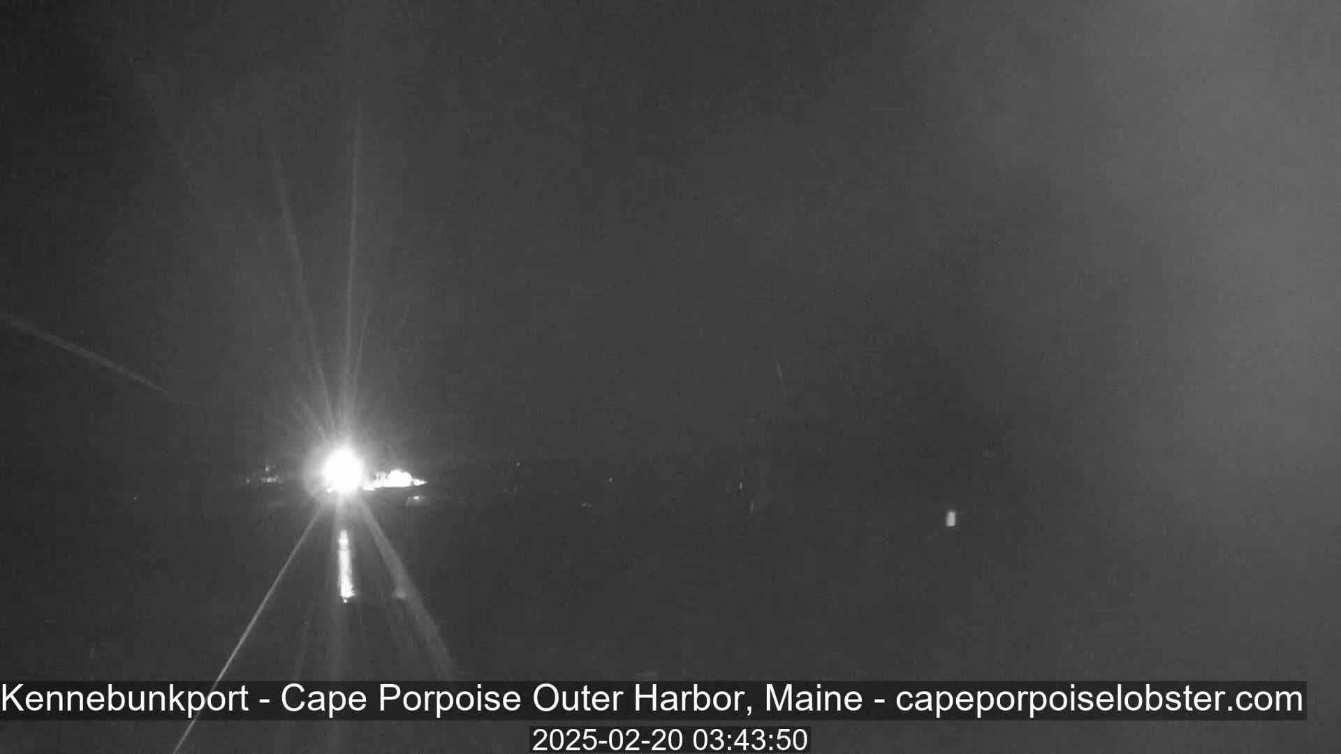 A nighttime, low-visibility view of a road with headlights approaching from a distance.