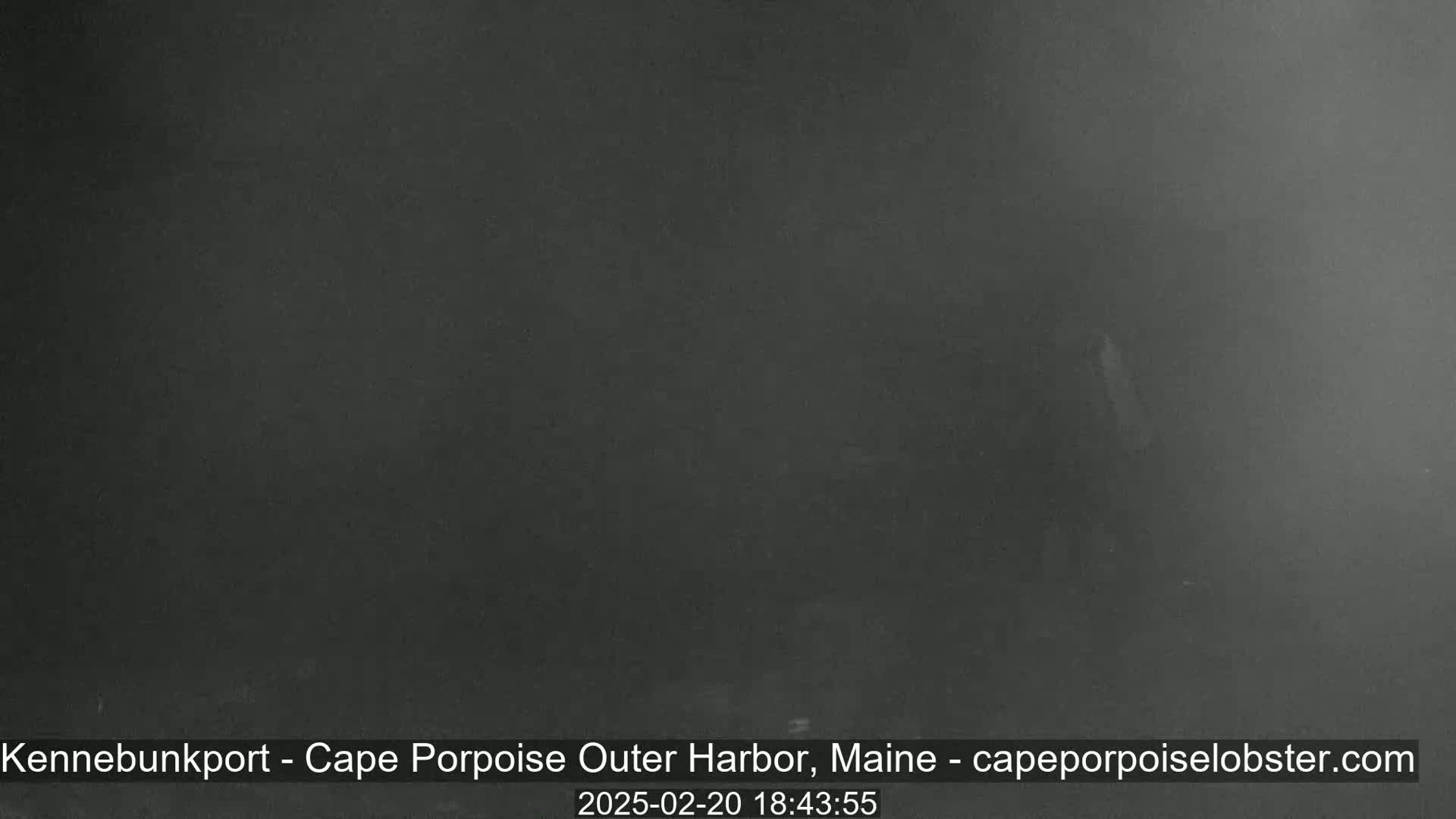 A dark, foggy scene obscures any visible details.