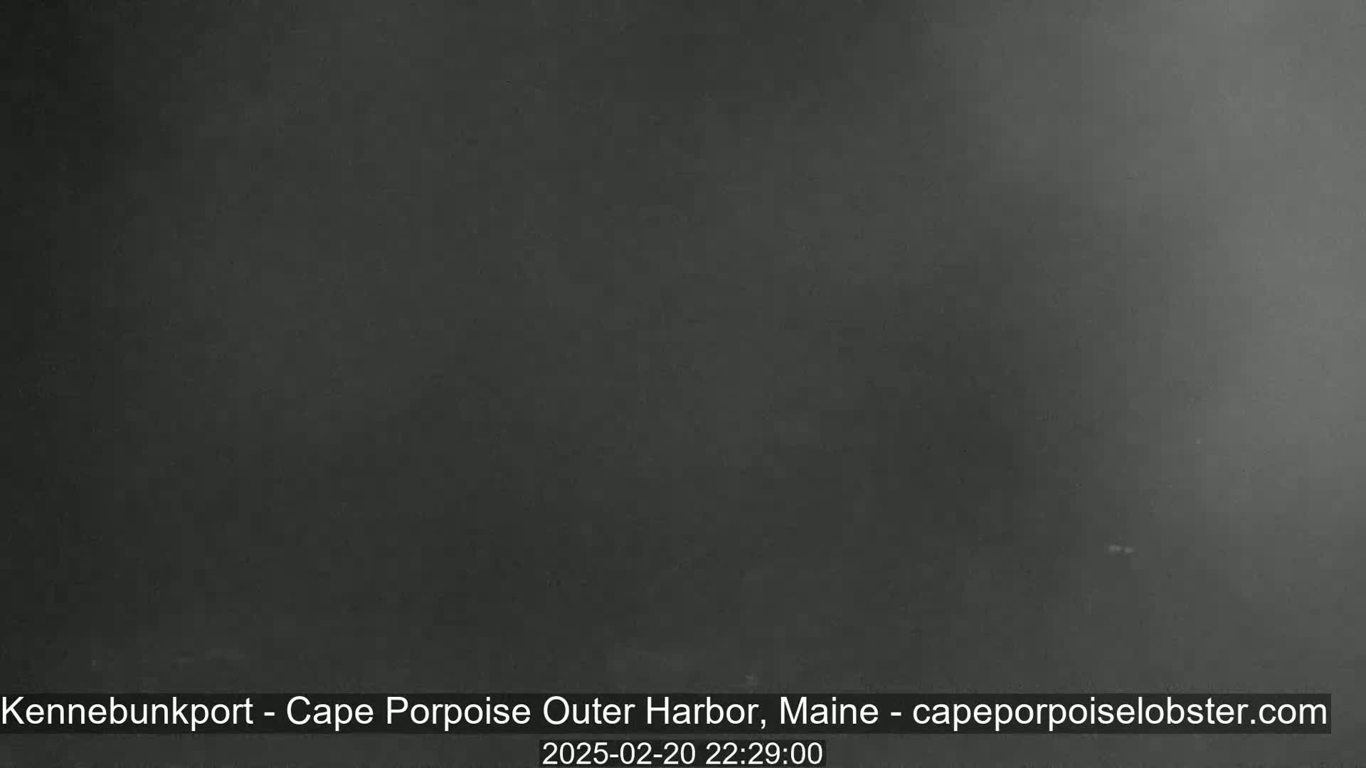 A dark, nighttime view of a harbor.