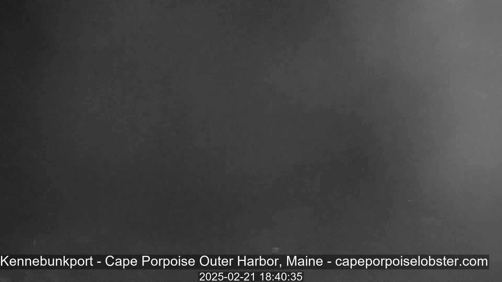 A dark gray, possibly foggy, outdoor scene is shown.