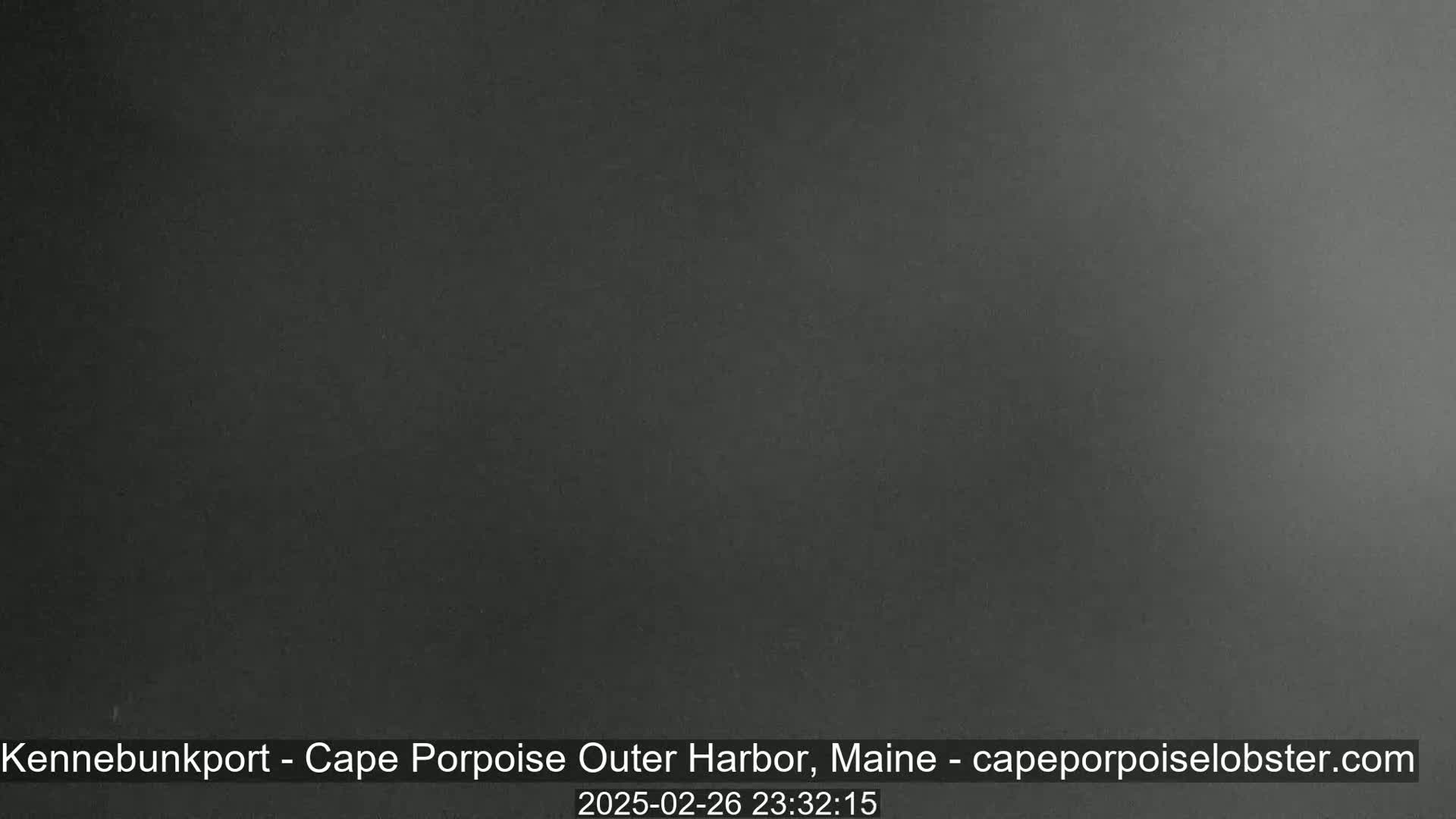 A dark gray, uniformly colored image shows nothing discernible.