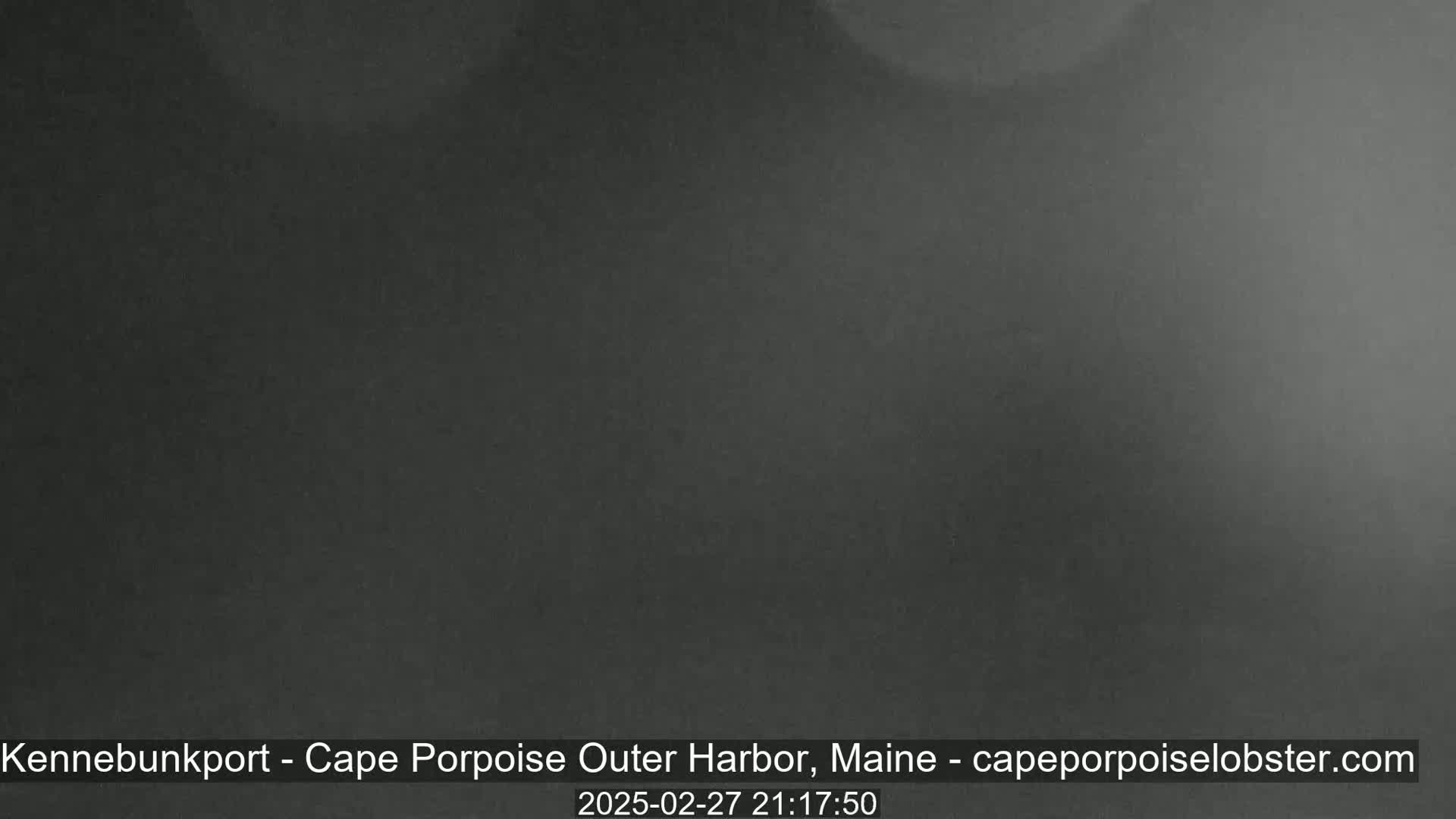A dark, blurry image shows a uniformly gray-black scene.