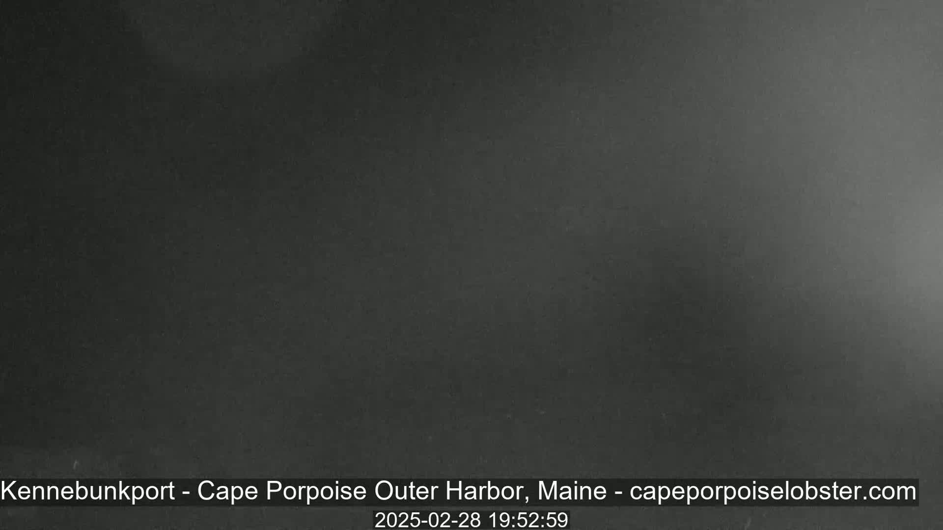 A dark, blurry image shows a mostly featureless, dark gray nighttime scene.