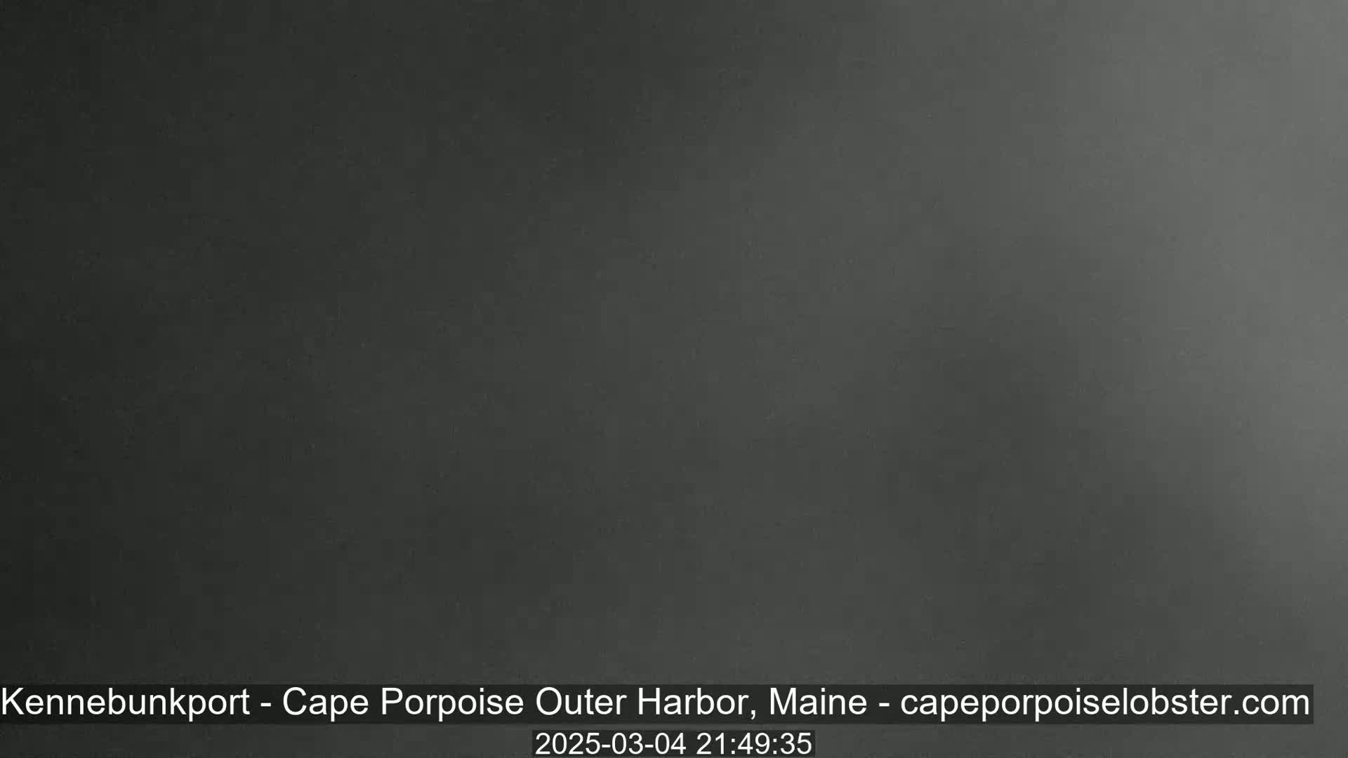 A dark gray, possibly nighttime, image shows a uniformly colored surface.