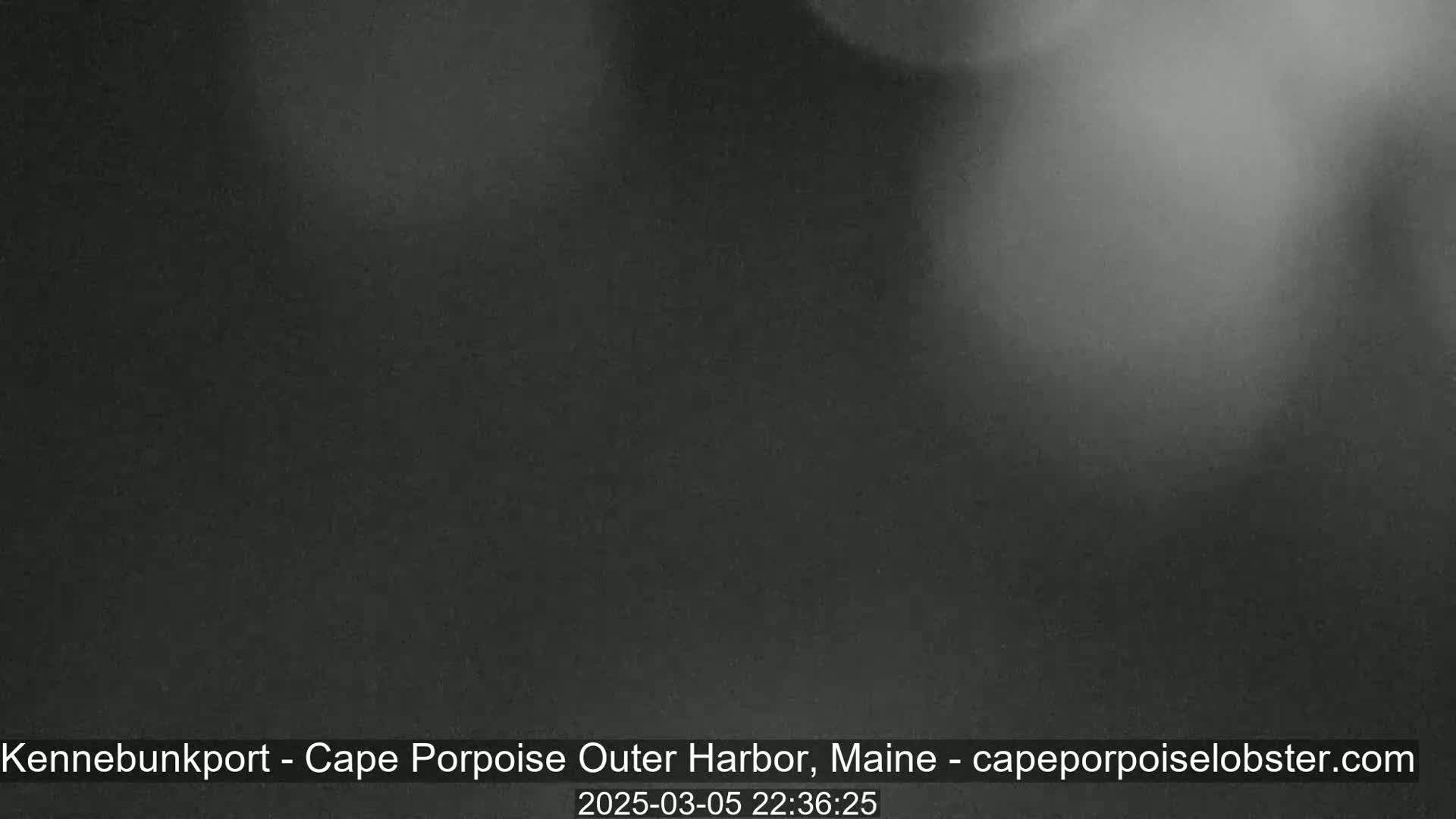 A dark, blurry image shows an overcast night.