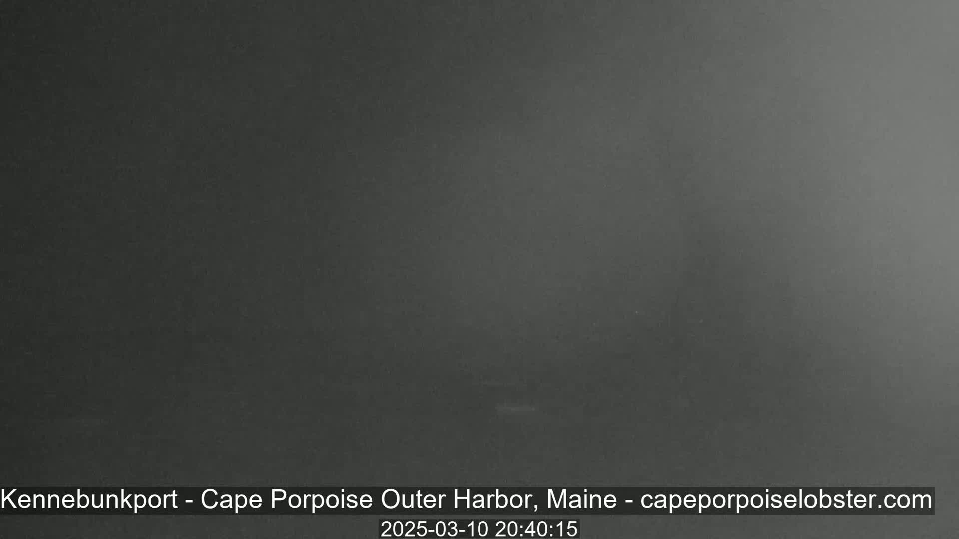 A dark gray, possibly foggy, nighttime scene is shown.