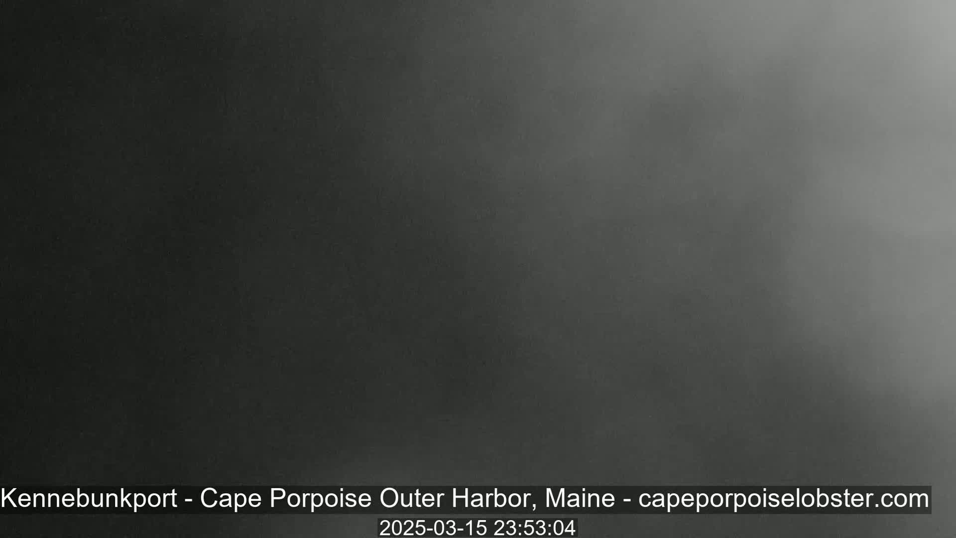 A dark, blurry image shows a mostly featureless gray-black scene, possibly at night or in very low light conditions.