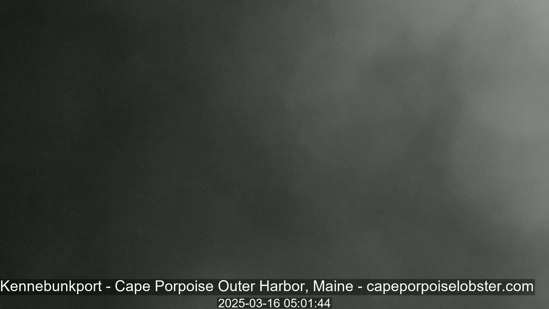 A dark, foggy scene is shown.