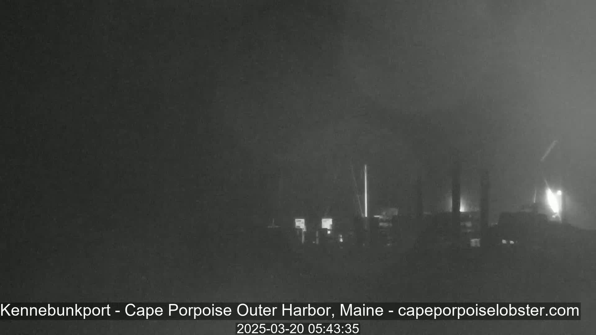 A nighttime, foggy view of a harbor with dimly lit buildings and structures.