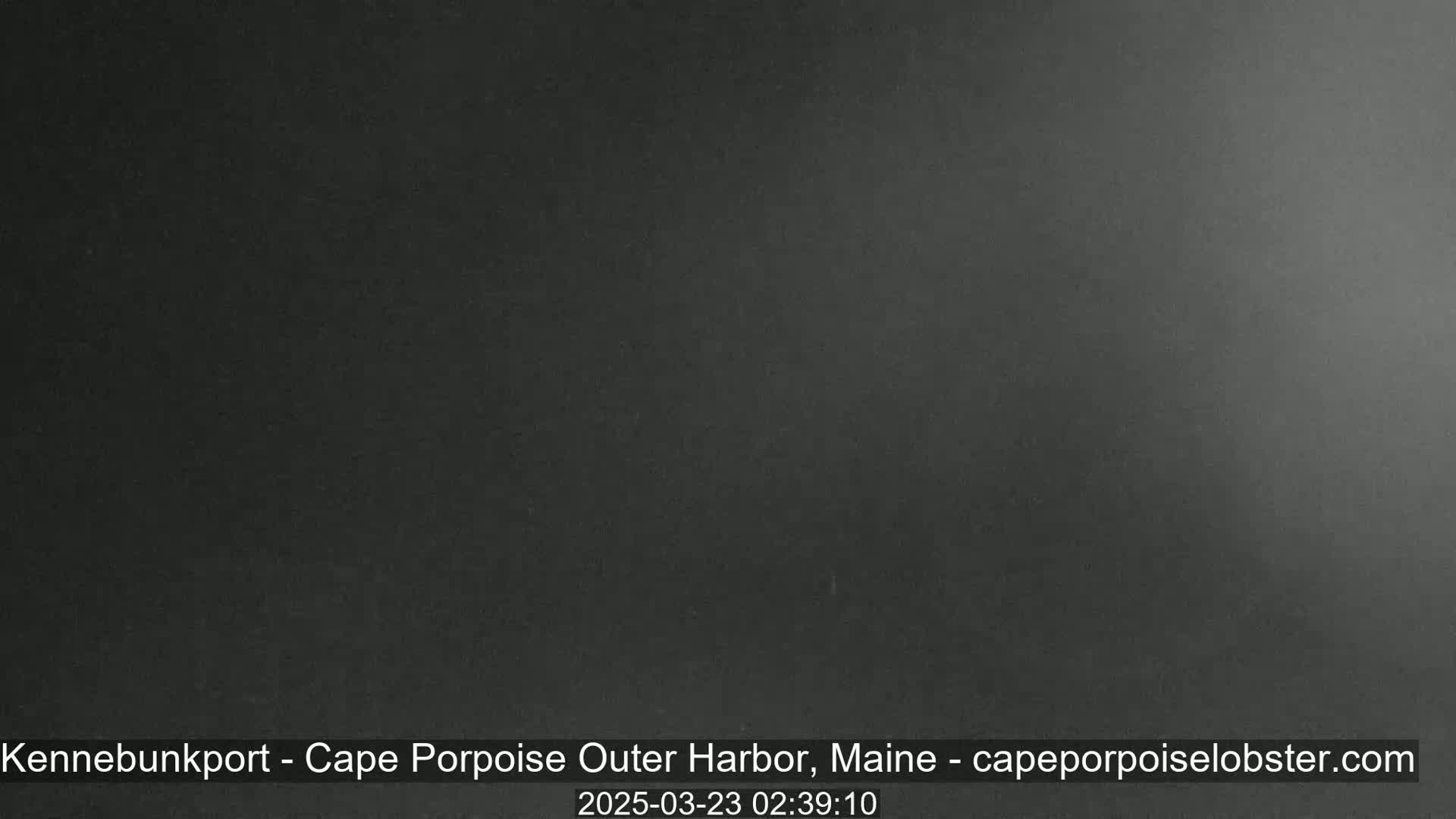 A dark, blurry image shows a mostly featureless, dark gray scene.