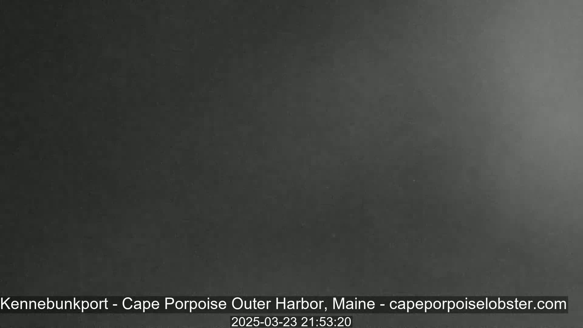 The image shows a dark, uniformly gray-toned nighttime scene.