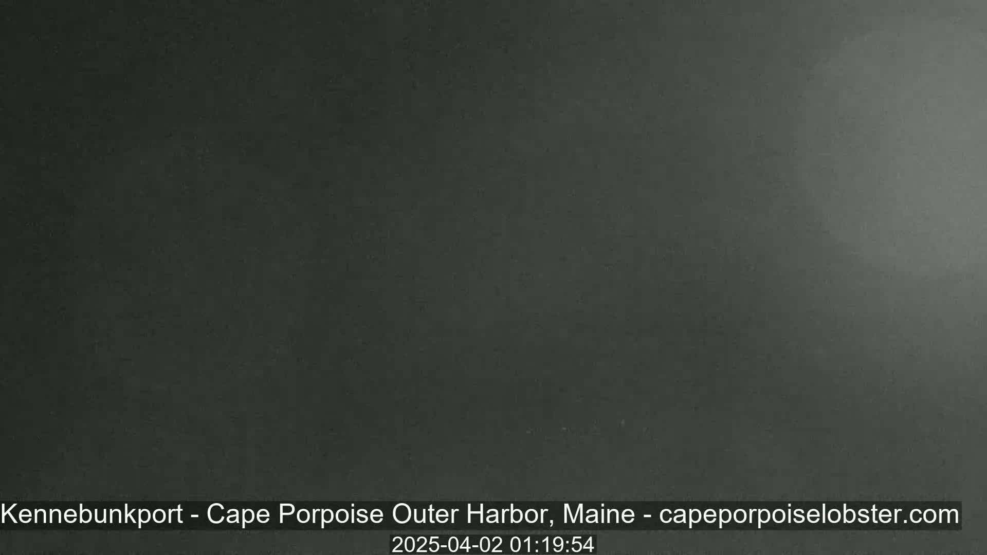 A dark gray, possibly nighttime, image shows a uniformly colored, featureless scene.