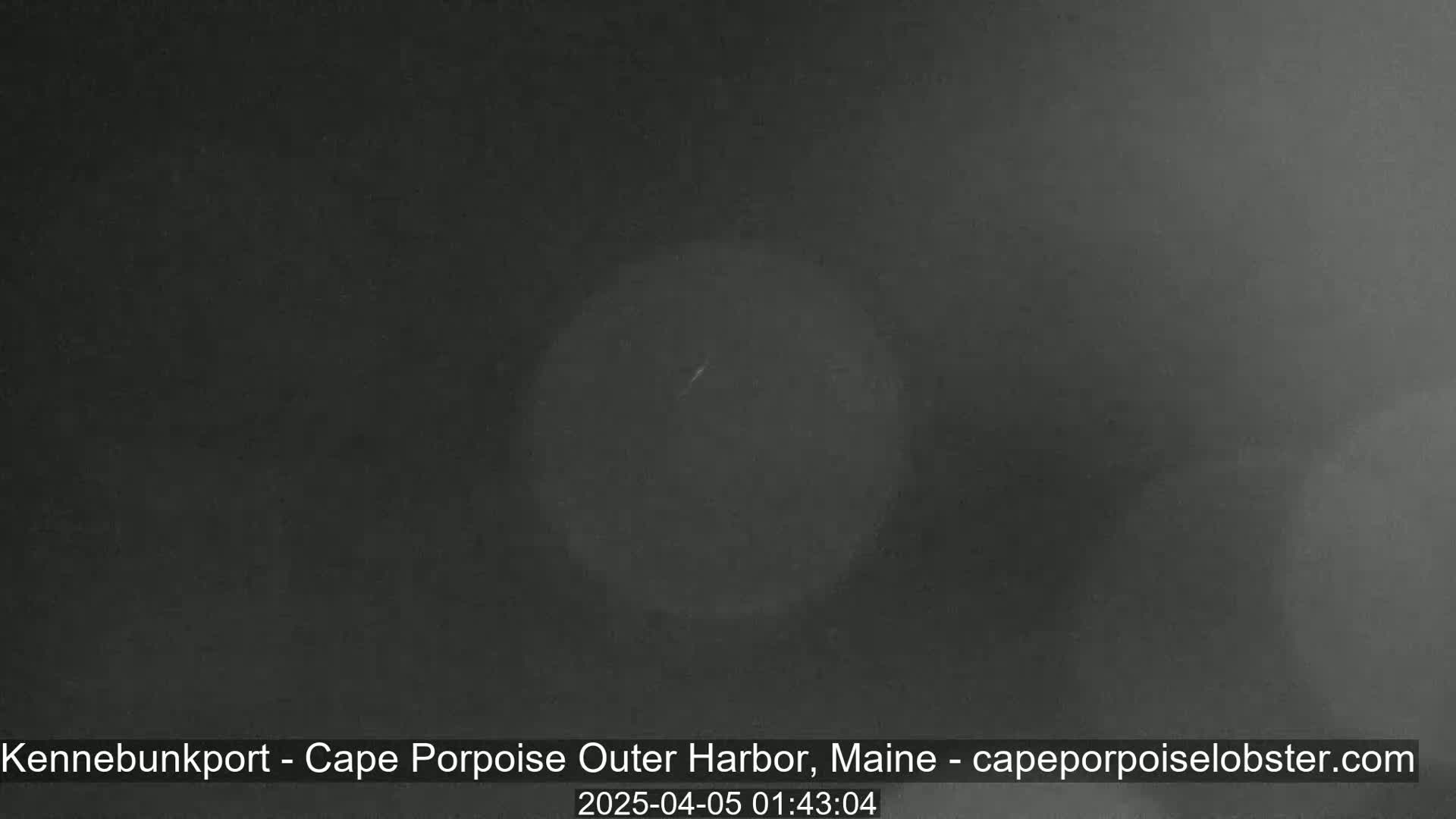 A dark, blurry image shows a mostly obscured nighttime view, possibly of a harbor.