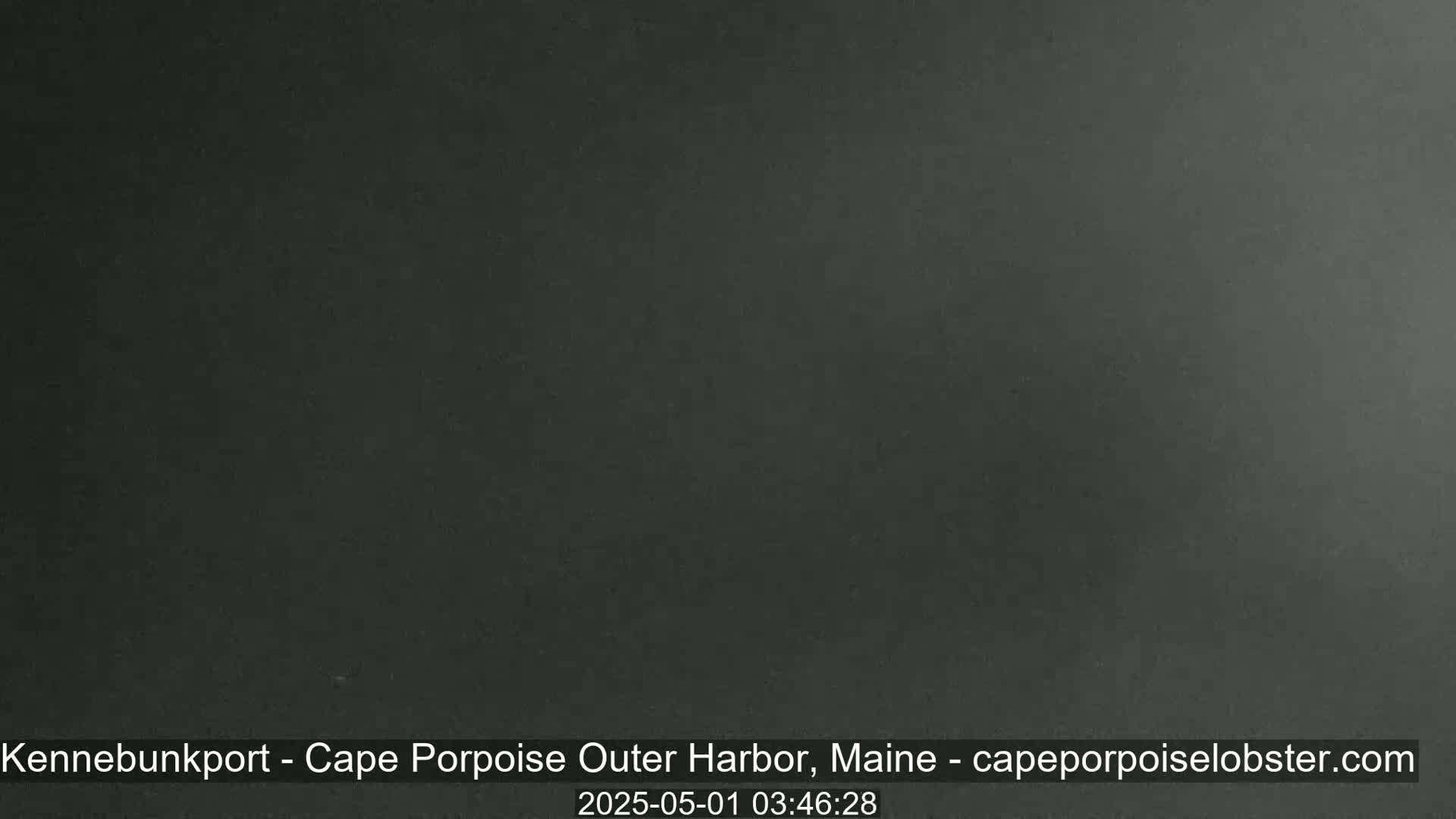 A dark gray, possibly overcast, outdoor scene is shown.
