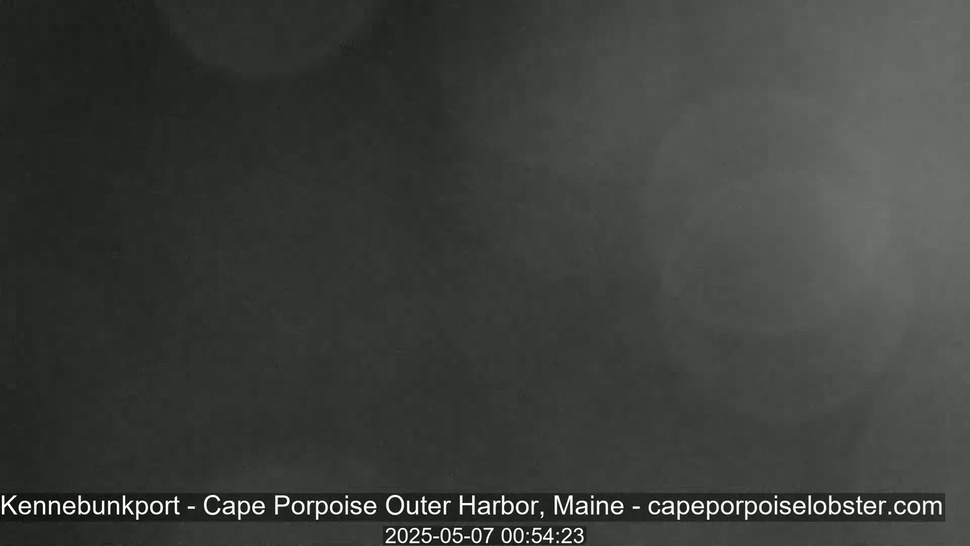 A dark gray, possibly foggy or overcast, outdoor scene is shown.