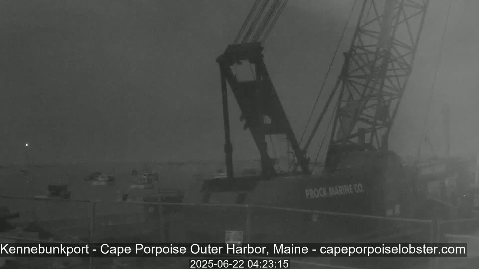 A large crane is visible in a harbor on an overcast day.