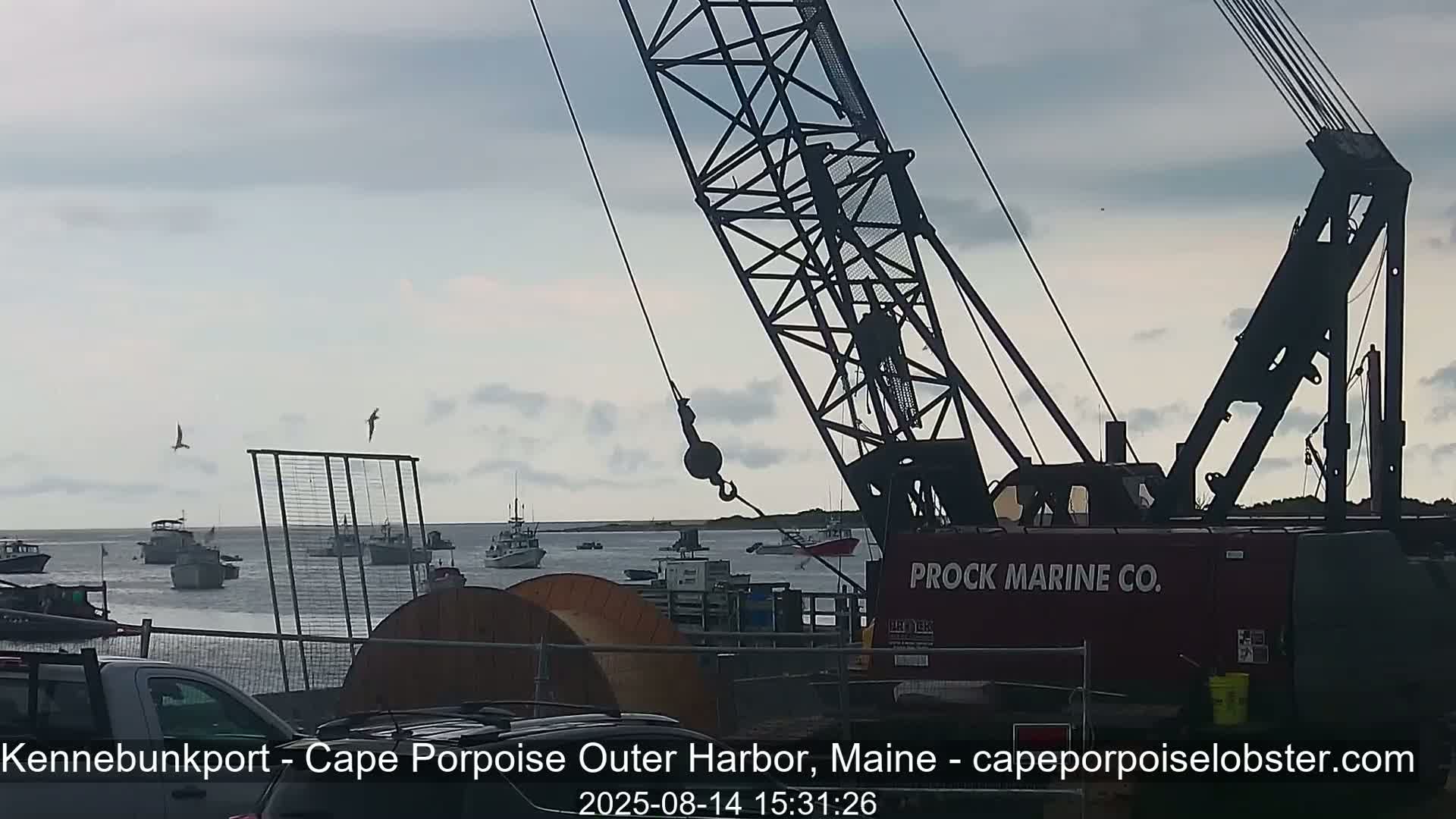 Cape Porpoise, Outer Harbor Live Cam - Kennebunkport, Maine, USA