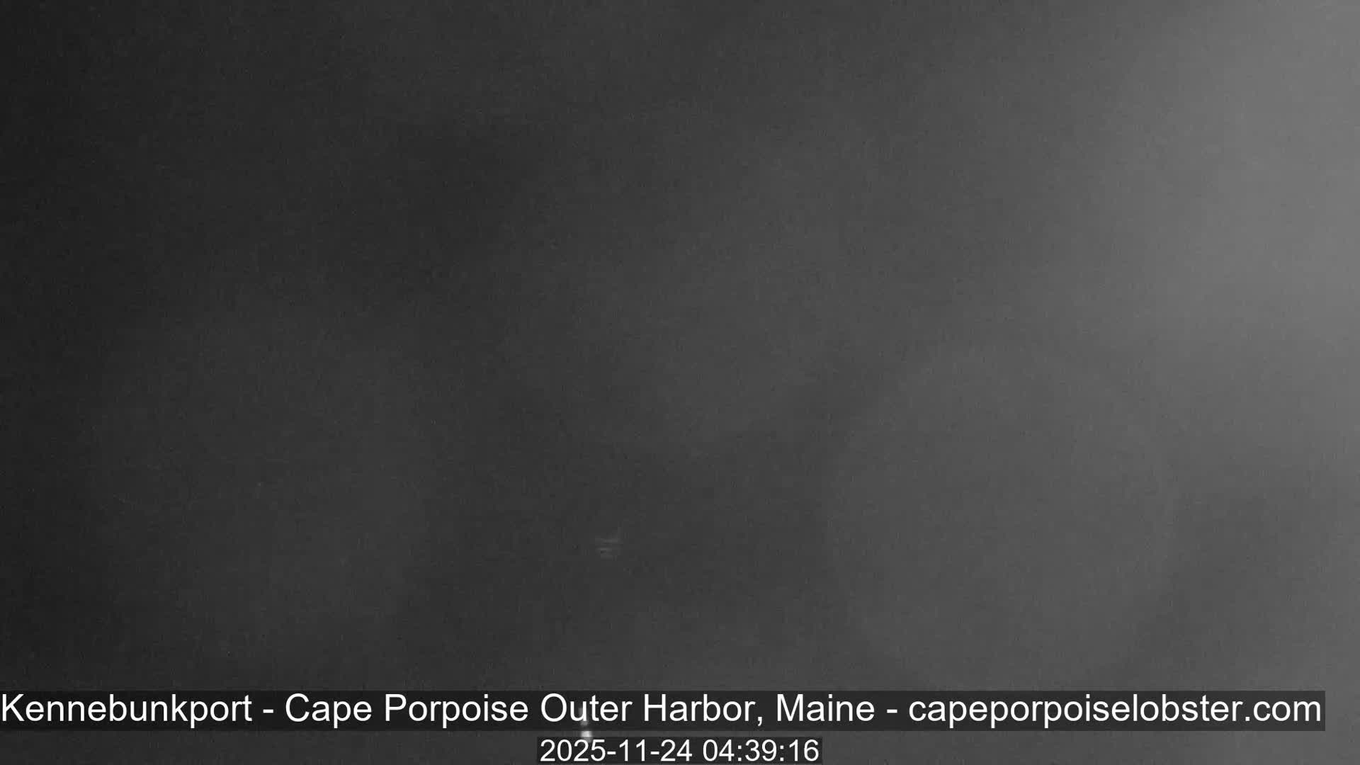 The image displays a profoundly dark, nearly monochromatic outdoor scene with extremely limited visibility, indicating either a deep night or dense fog conditions.