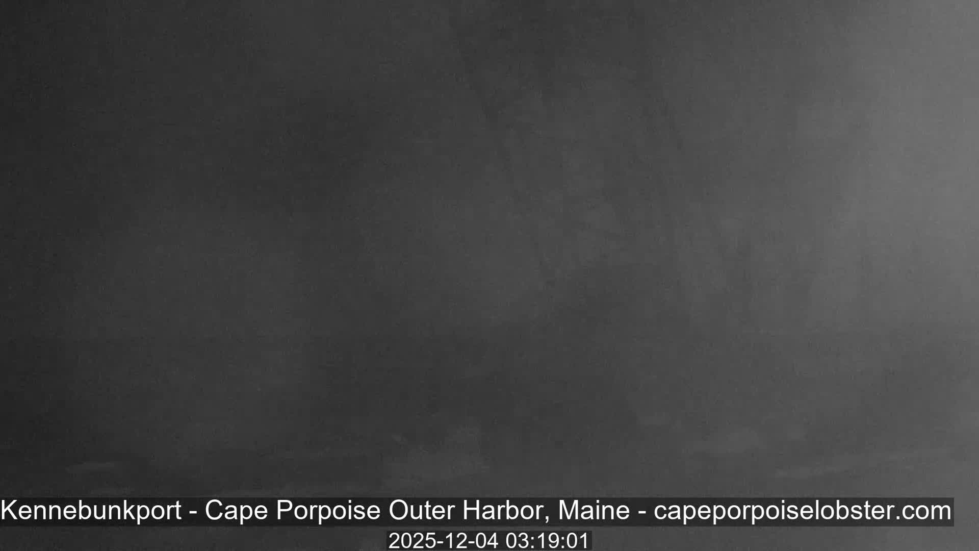 The image shows a very dark, uniformly grey outdoor scene at night with no discernible features.