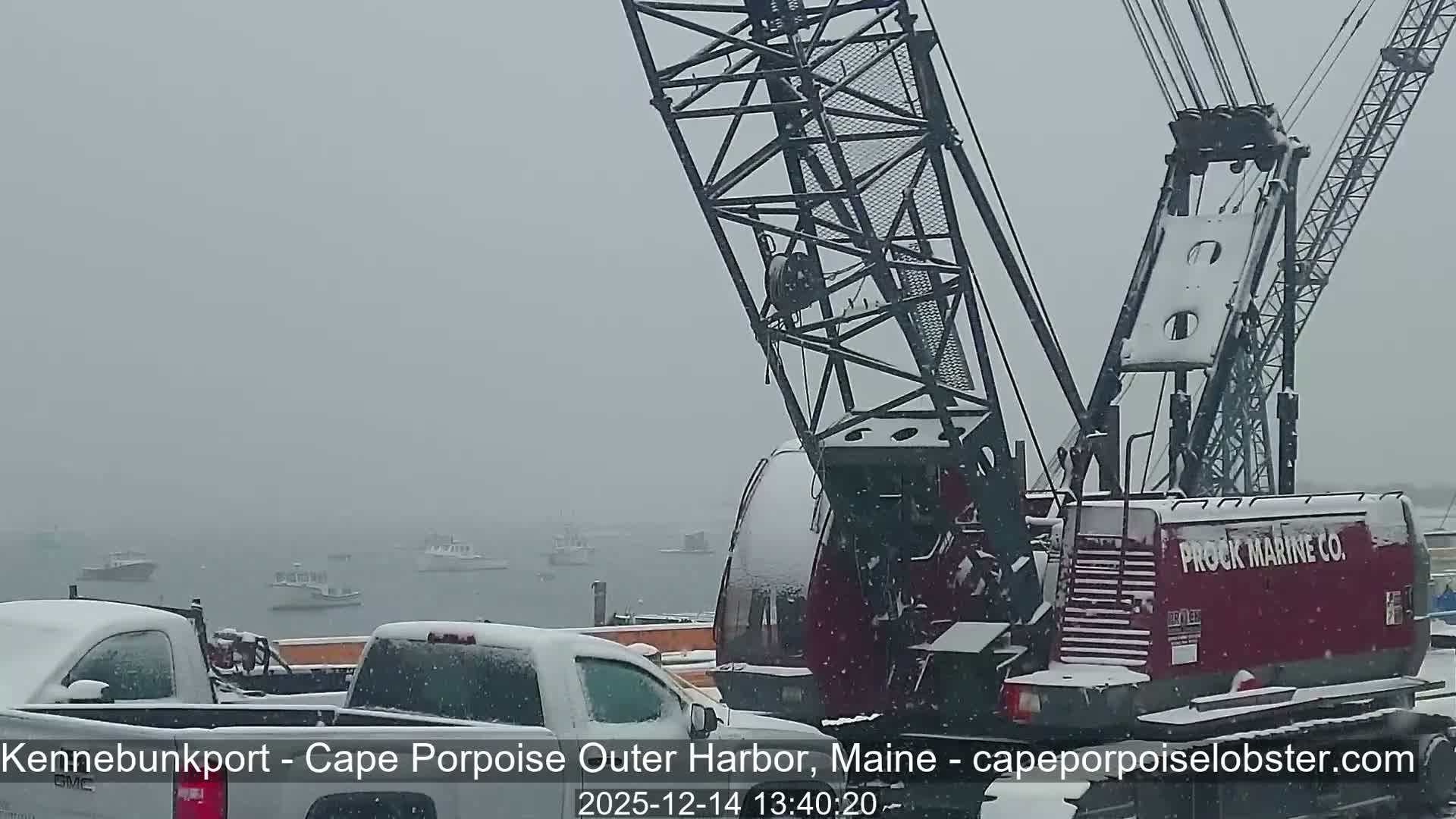 The image shows a very dark, uniformly grey outdoor scene at night with no discernible features.