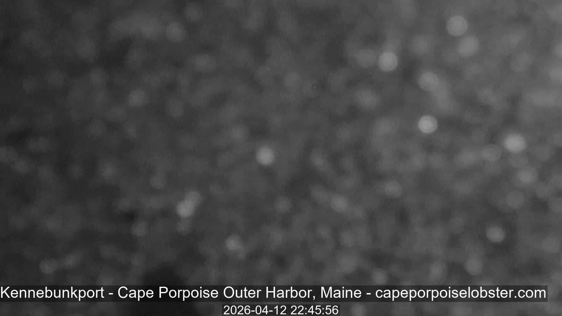 Cape Porpoise, Outer Harbor Live Cam - Kennebunkport, Maine, USA