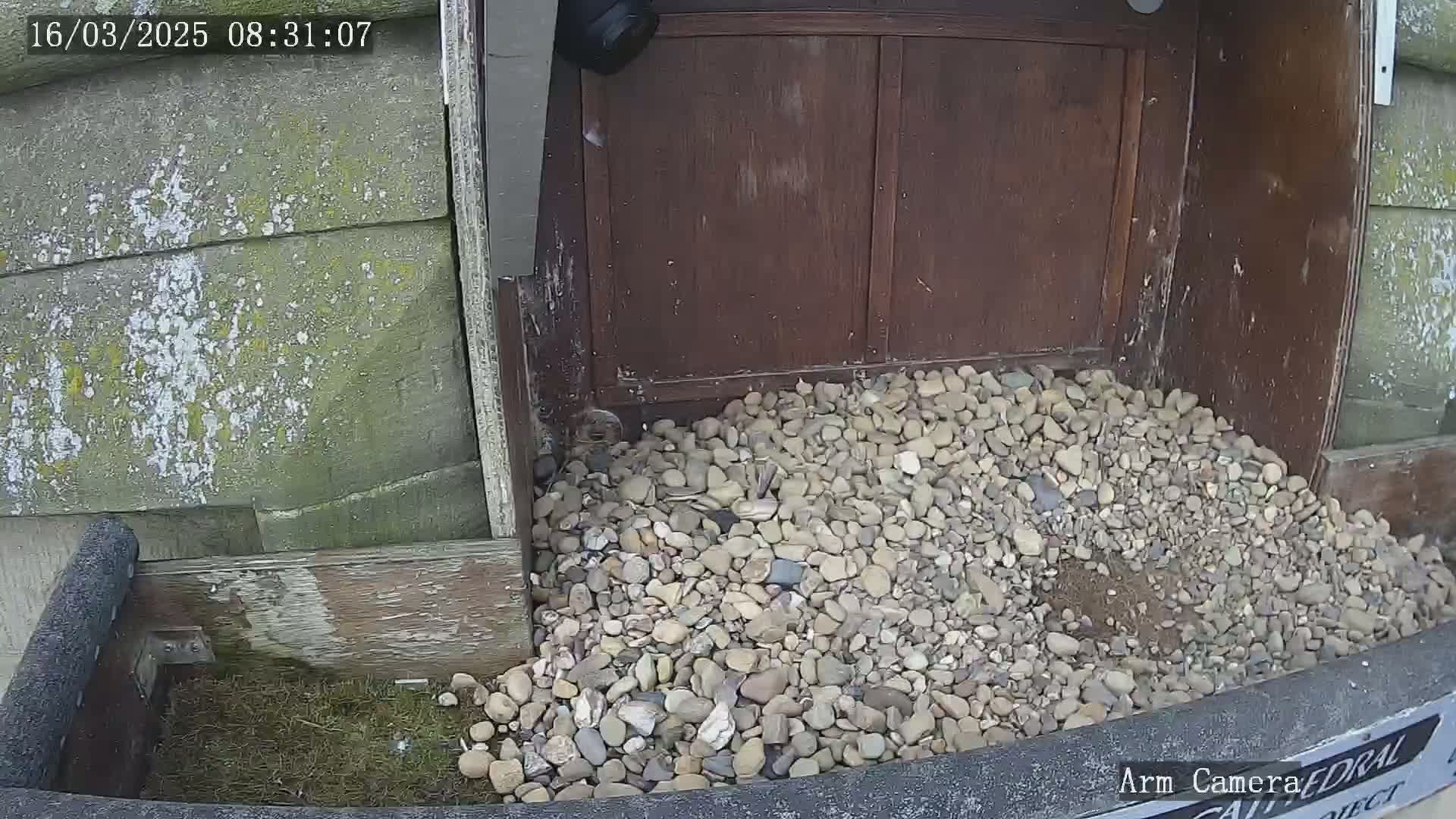 A pile of gravel sits in front of a dark brown wooden structure against a weathered, gray stone wall.