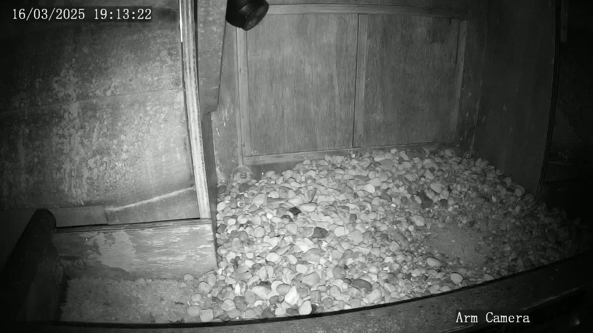 A pile of pebbles sits in front of a wooden structure at night, illuminated by a security camera.