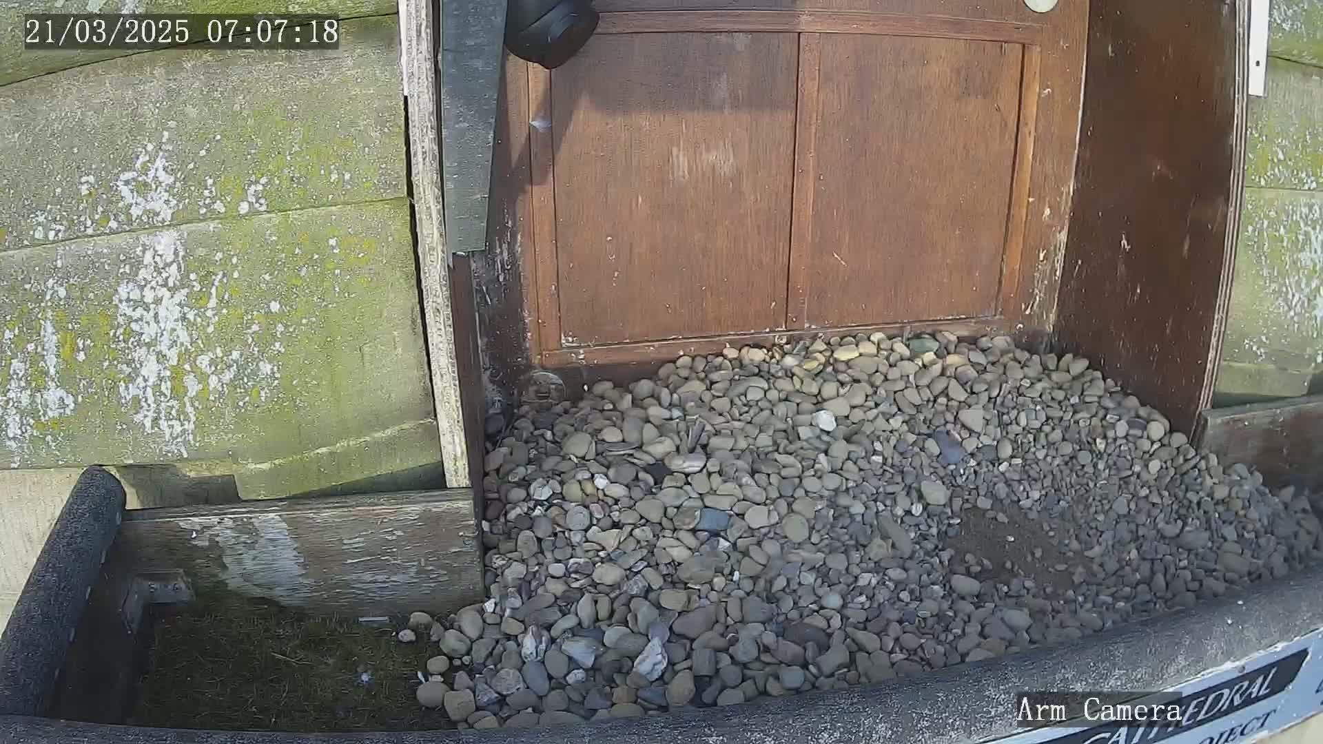A pile of small gray and brown rocks sits at the base of a weathered wooden door, under a security camera on a sunny day.
