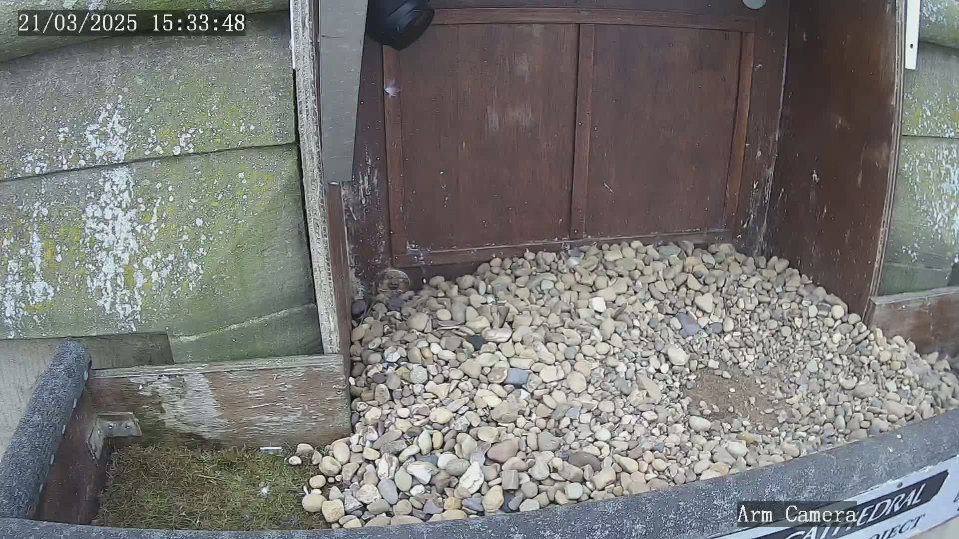 A pile of small rocks sits in front of a weathered wooden structure, partially visible under a security camera.