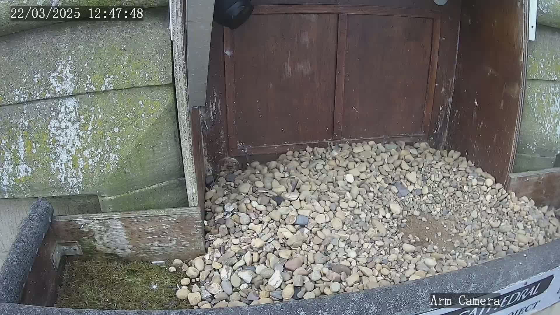 A pile of gravel sits in front of a weathered wooden structure outdoors.