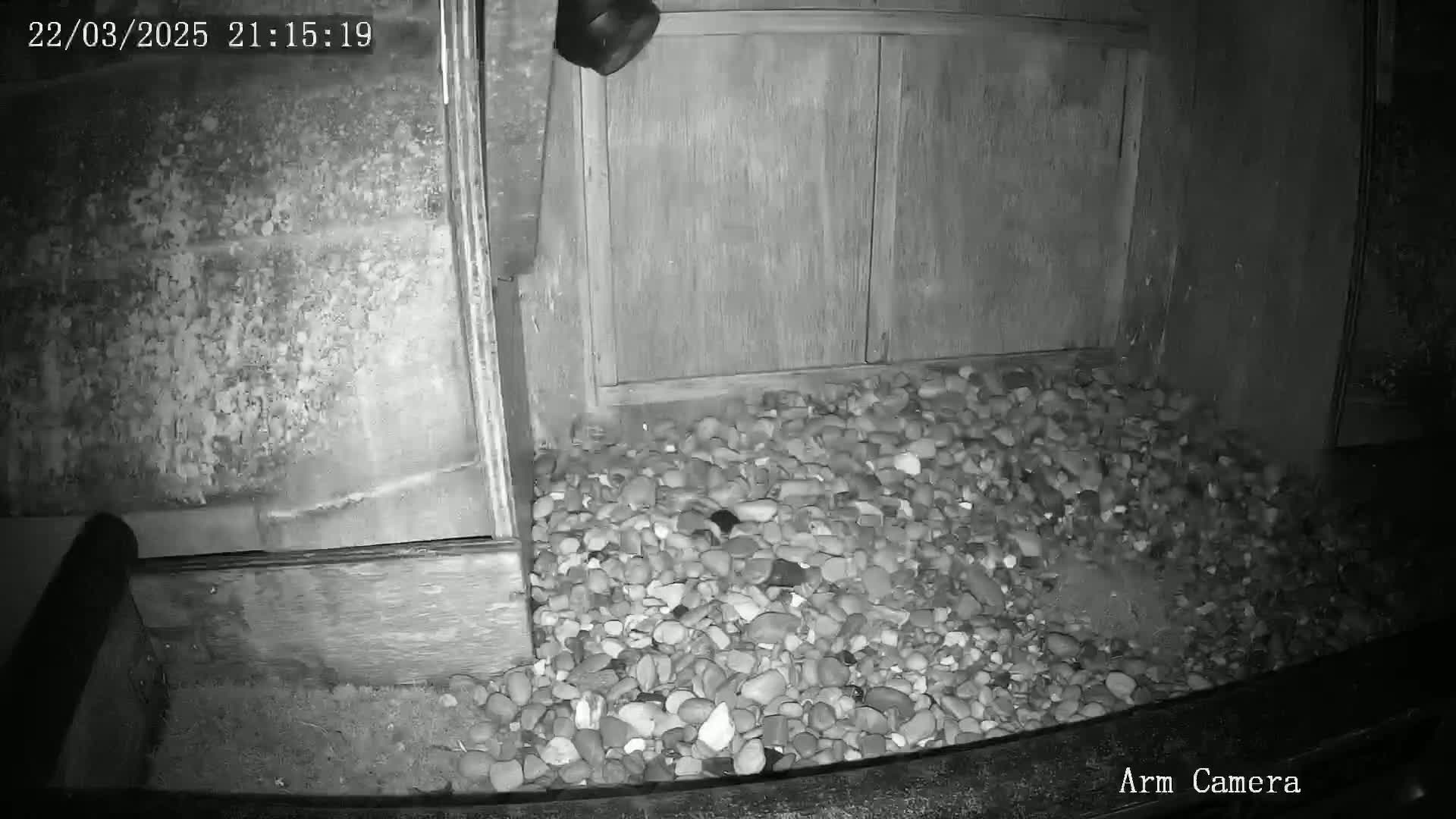 A nighttime, low-light image shows a pile of pebbles at the base of a wooden structure.