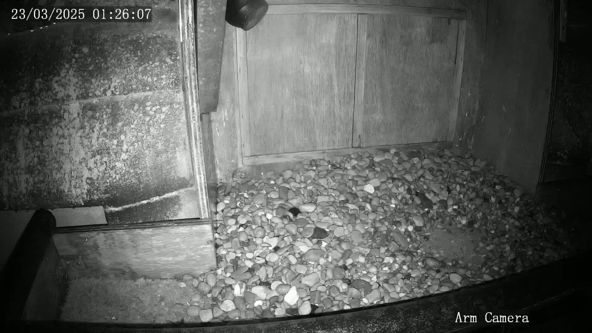 A nighttime, low-light image shows a pile of small rocks at the base of a wooden structure.