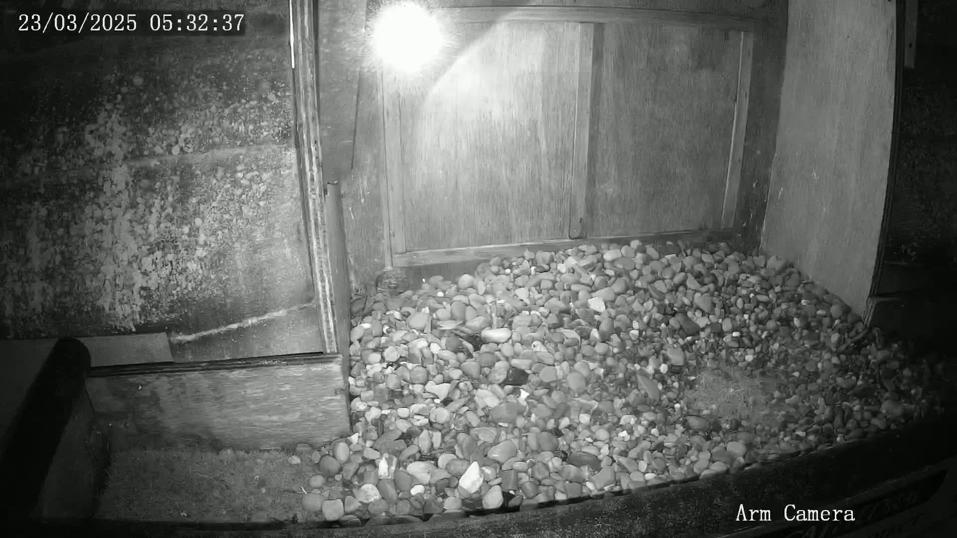 A pile of small, gray rocks sits in a dark corner next to a wooden structure, illuminated by a bright light source.